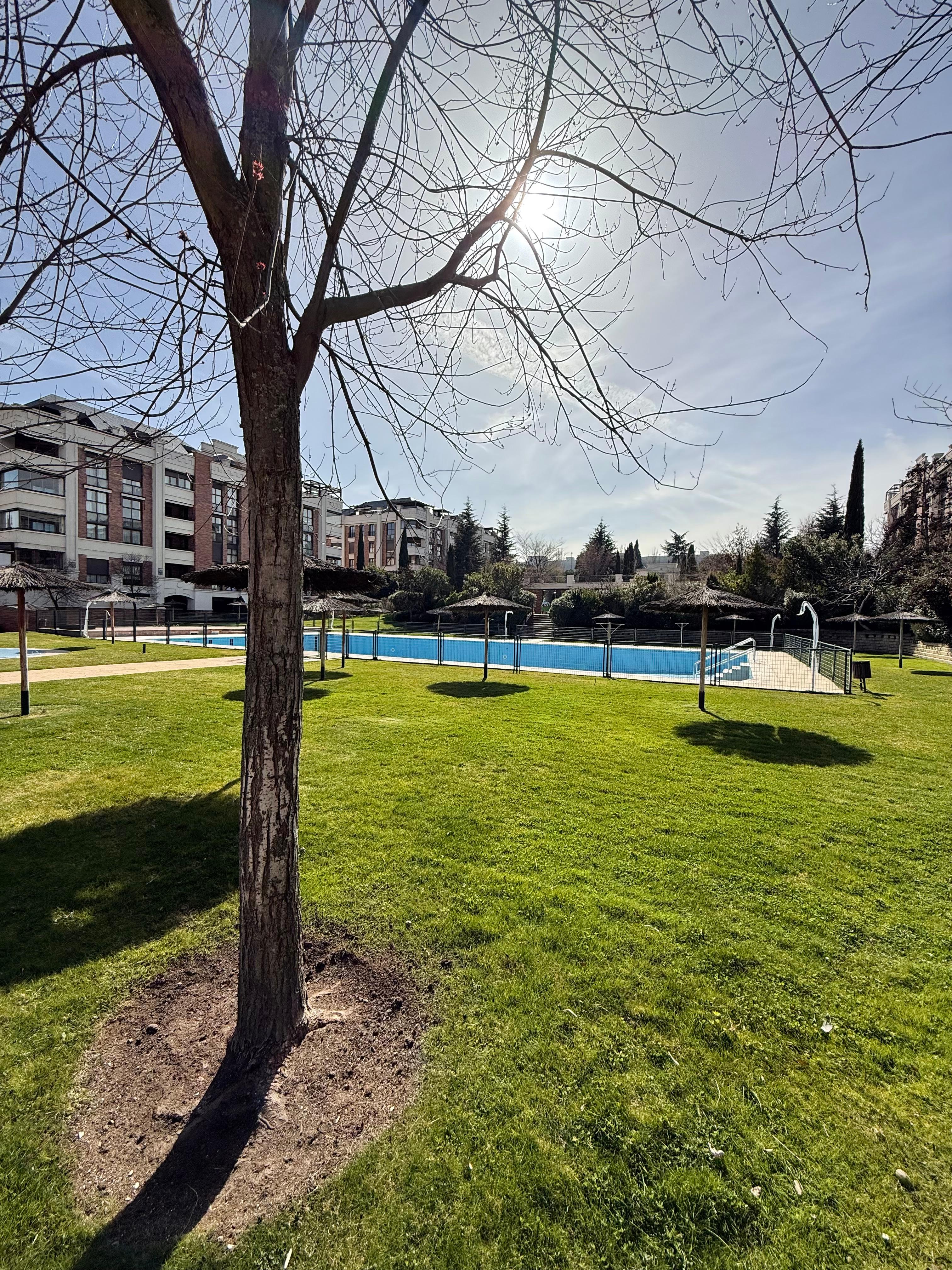 Piso en Alquiler en C. Cerro del Espino - 5