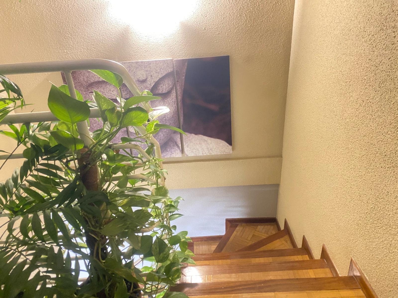 Duplex en Venta en Pl. de Euskadi - 17