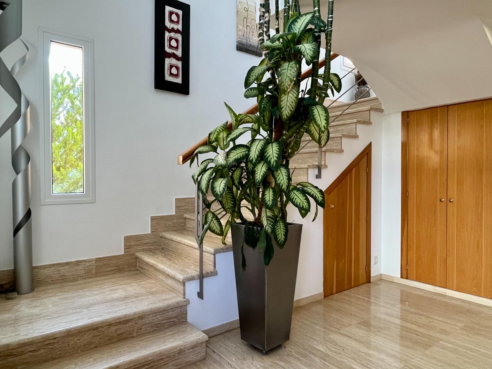 Casa en Alquiler en Carrer del Gavatxet-Roig - 30