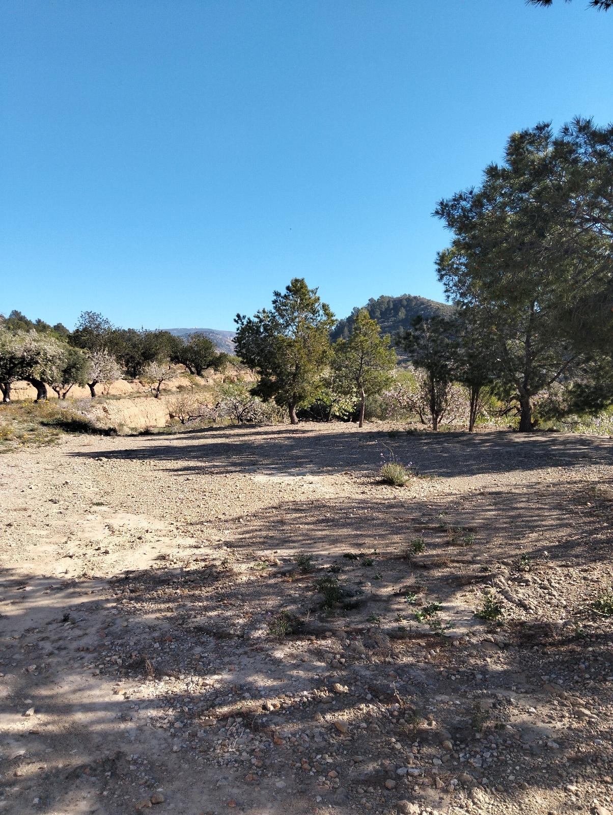 Terreno No Urbanizable en Venta en C. la Victoria - 5