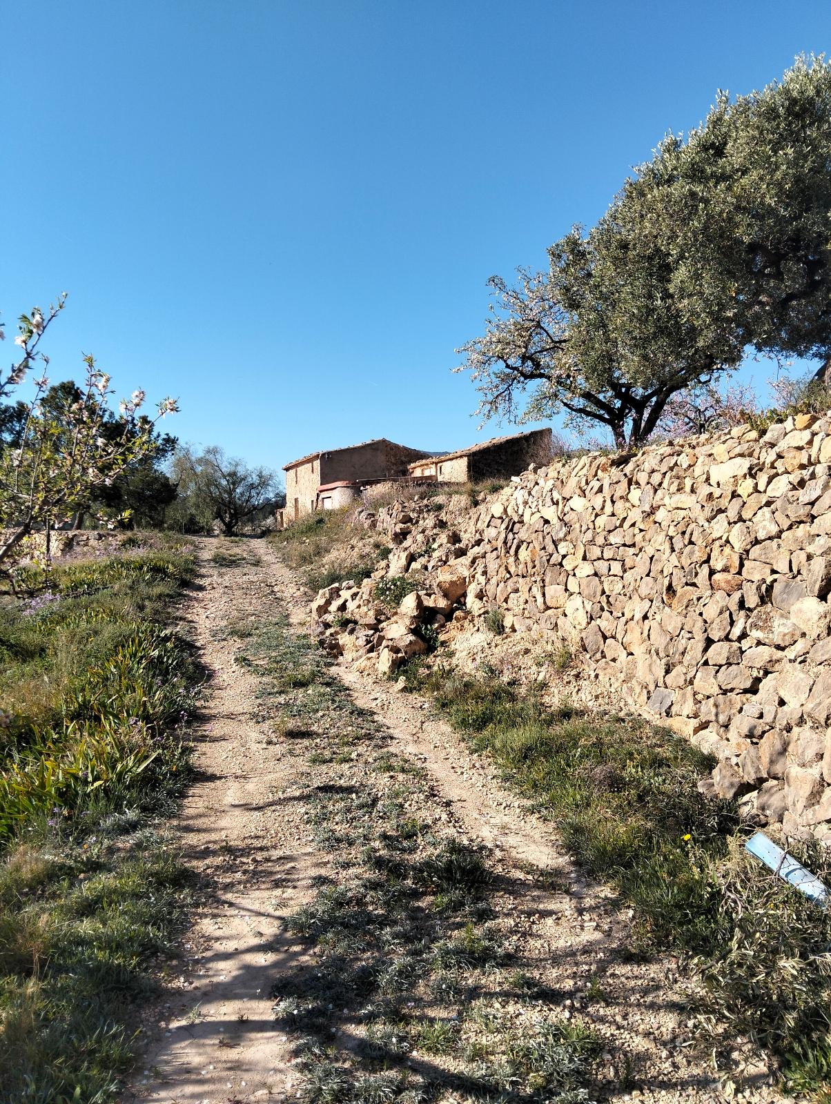 Terreno No Urbanizable en Venta en C. la Victoria - 3