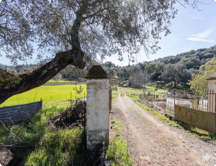 Finca en Parque Natural Sierra Norte de Sevilla. Dispone de agua y se puede construir. - 2