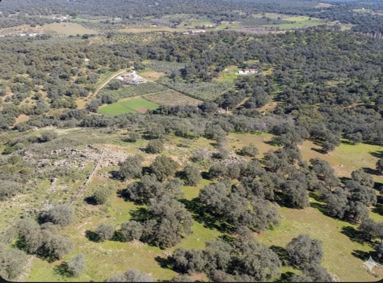 Finca en Parque Natural Sierra Norte de Sevilla. Dispone de agua y se puede construir. - 1
