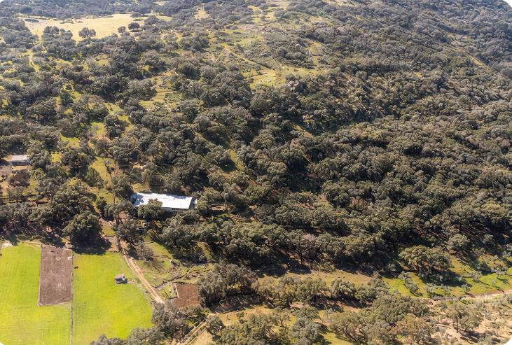 Finca en Parque Natural Sierra Norte de Sevilla. Dispone de agua y se puede construir. - 3