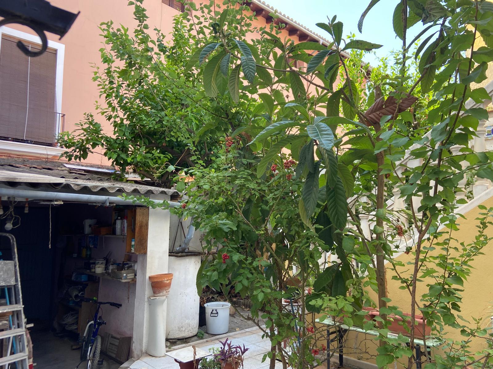 Casa de Pueblo  con Terraza -Jardin Grande - 35