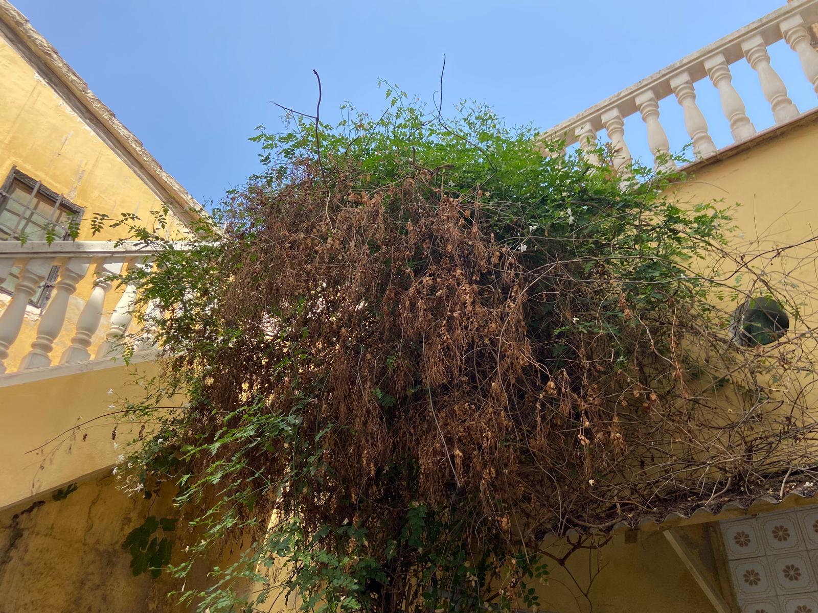 Casa de Pueblo  con Terraza -Jardin Grande - 34