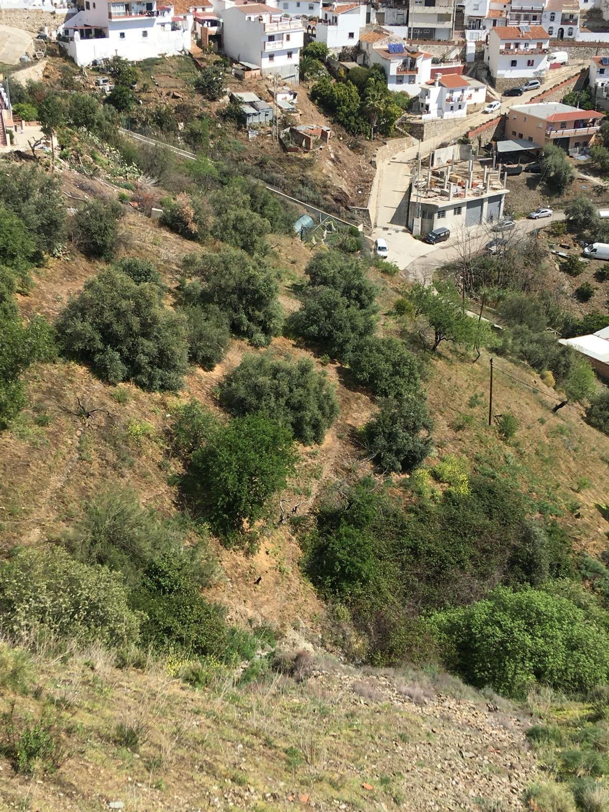 Parcela en venta - Paraje 37 Calvario, Moclinejo - 4