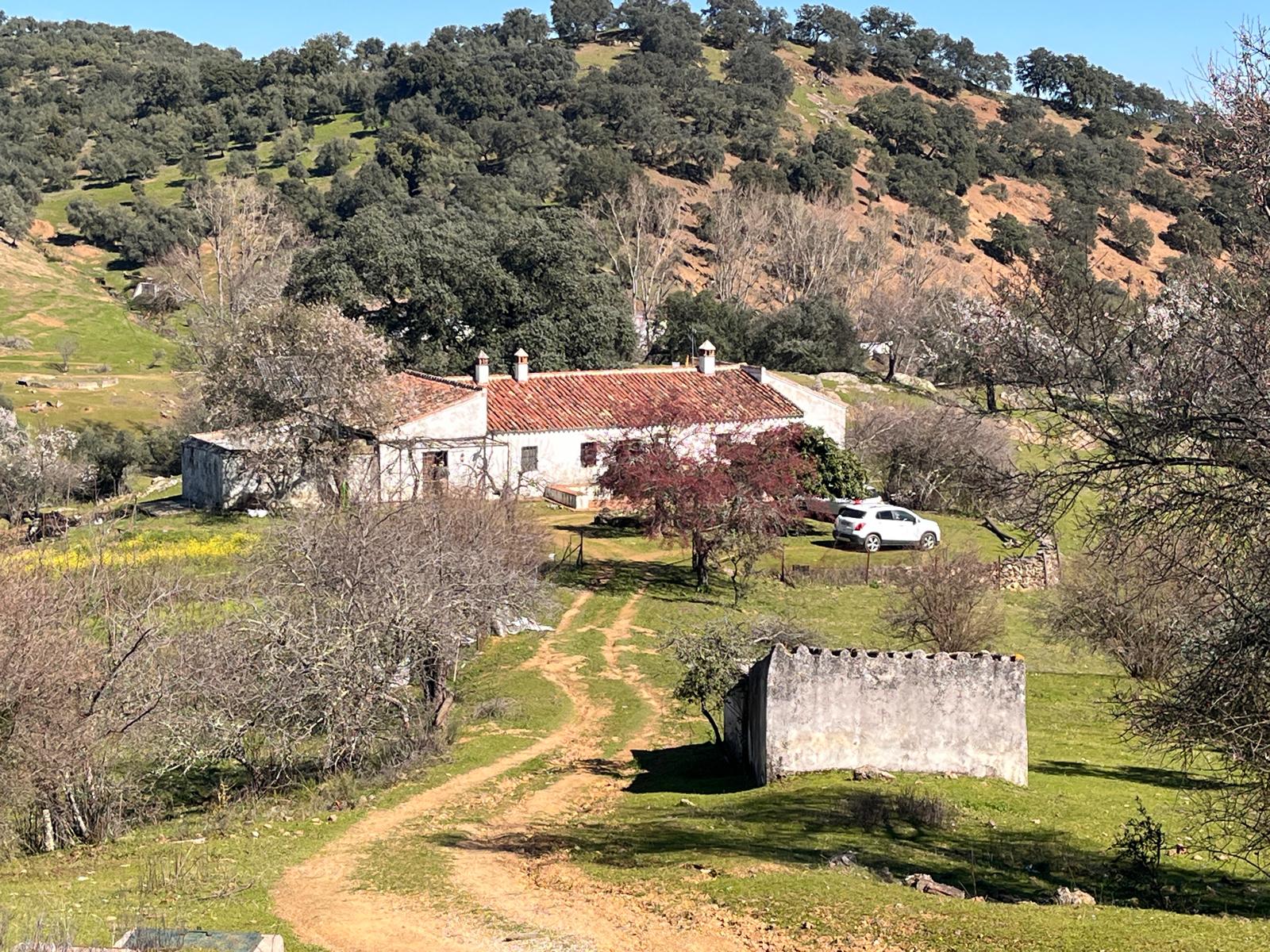 Casa Rural en Venta - Cazalla de la Sierra, Sevilla - 21