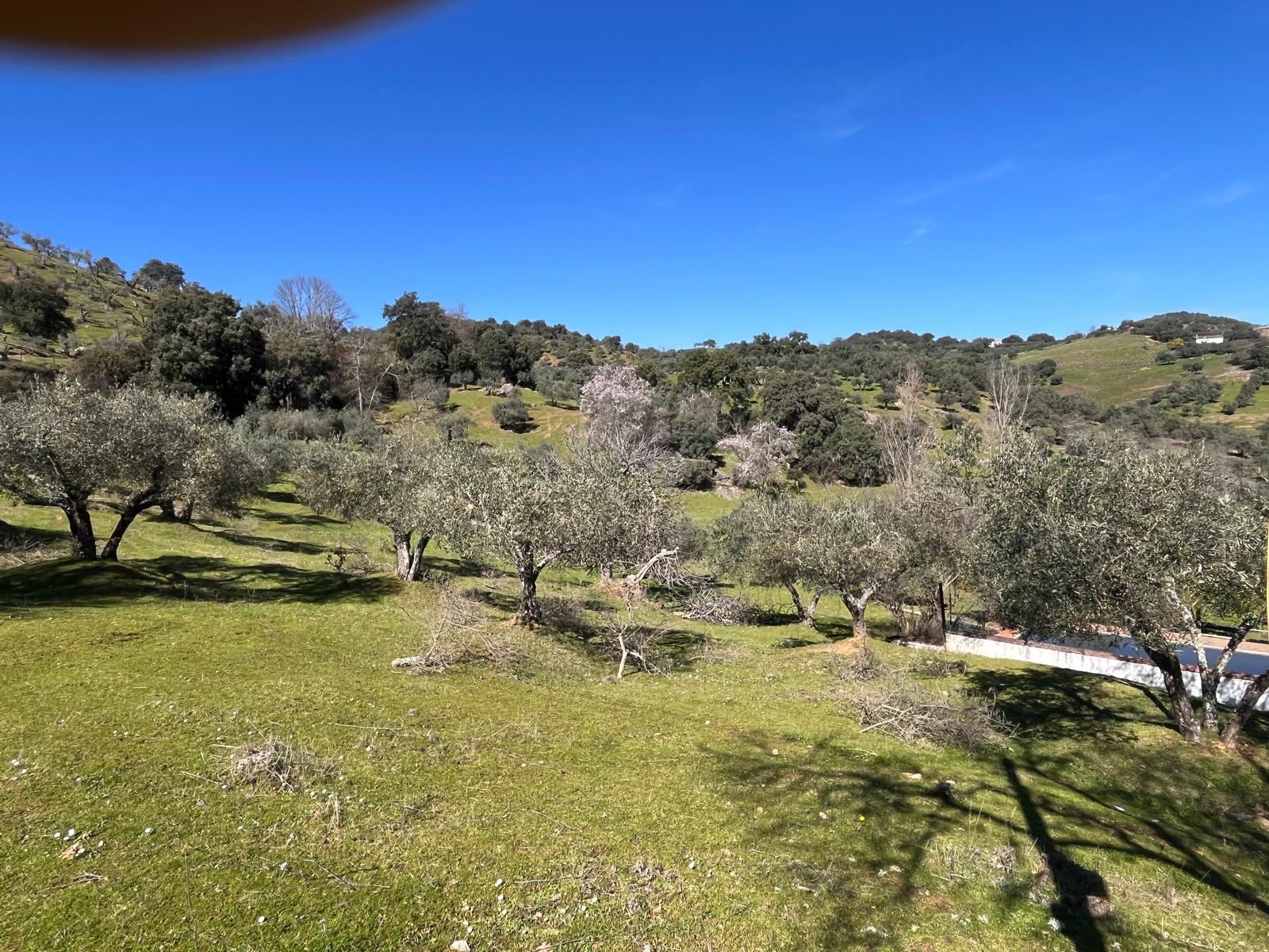 Casa Rural en Venta - Cazalla de la Sierra, Sevilla - 26