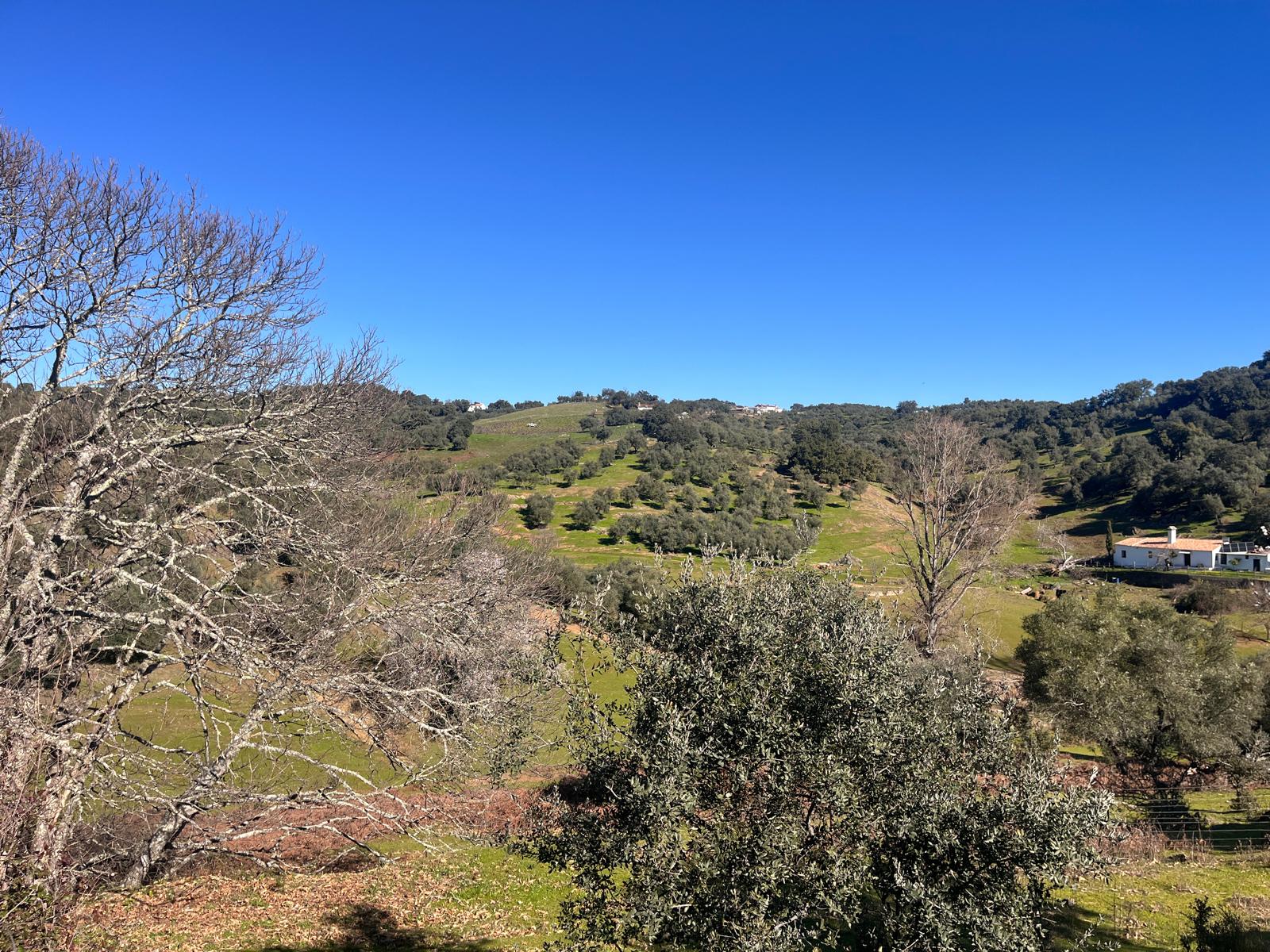 Casa Rural en Venta - Cazalla de la Sierra, Sevilla - 24