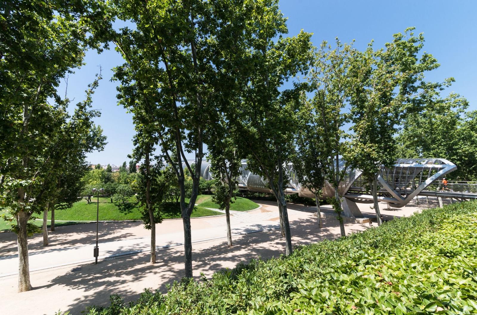 Piso en Venta - Moscardó (Usera) - 32