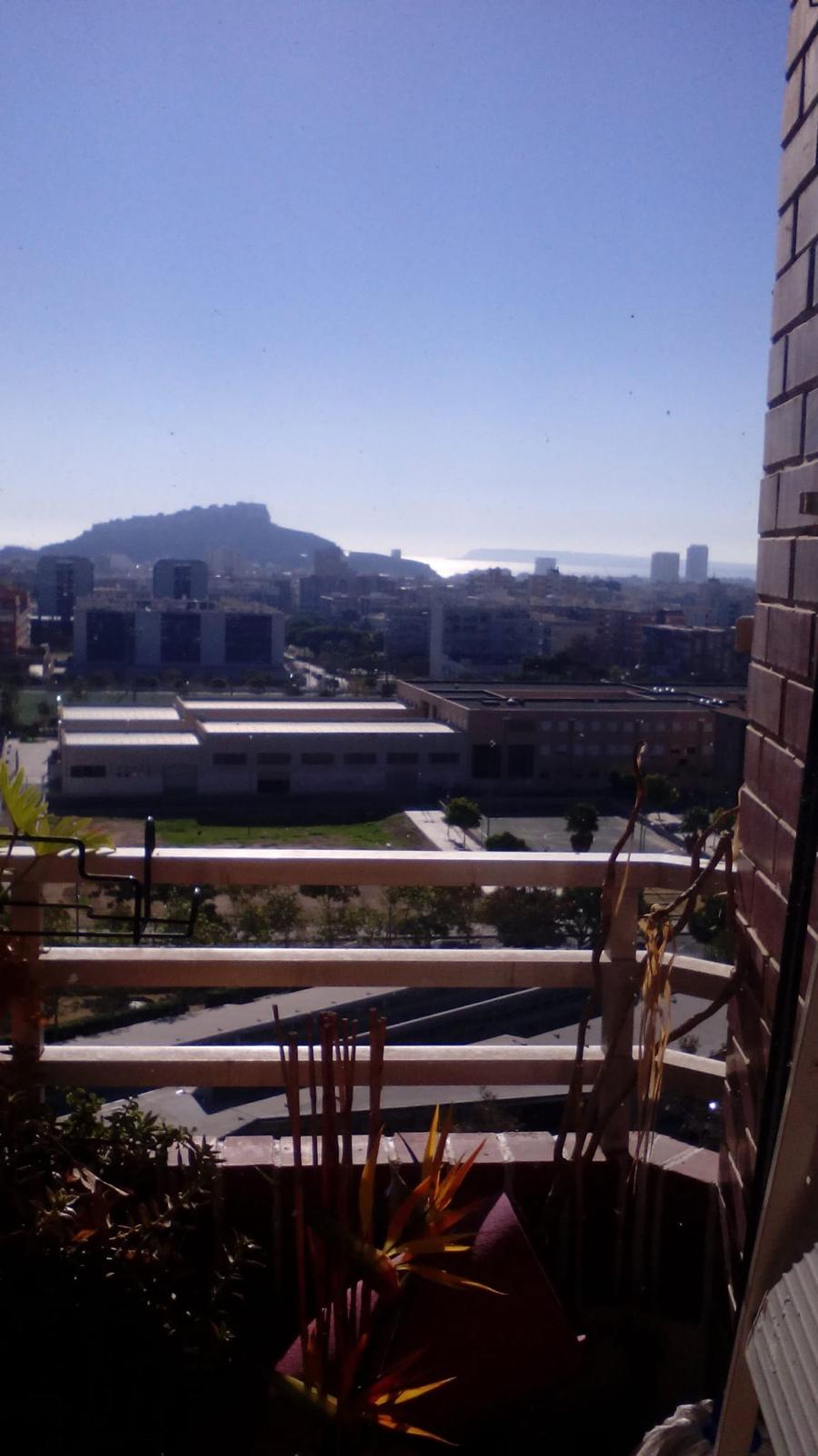 Piso en Venta en C. Cronista Vicente Martínez - 1