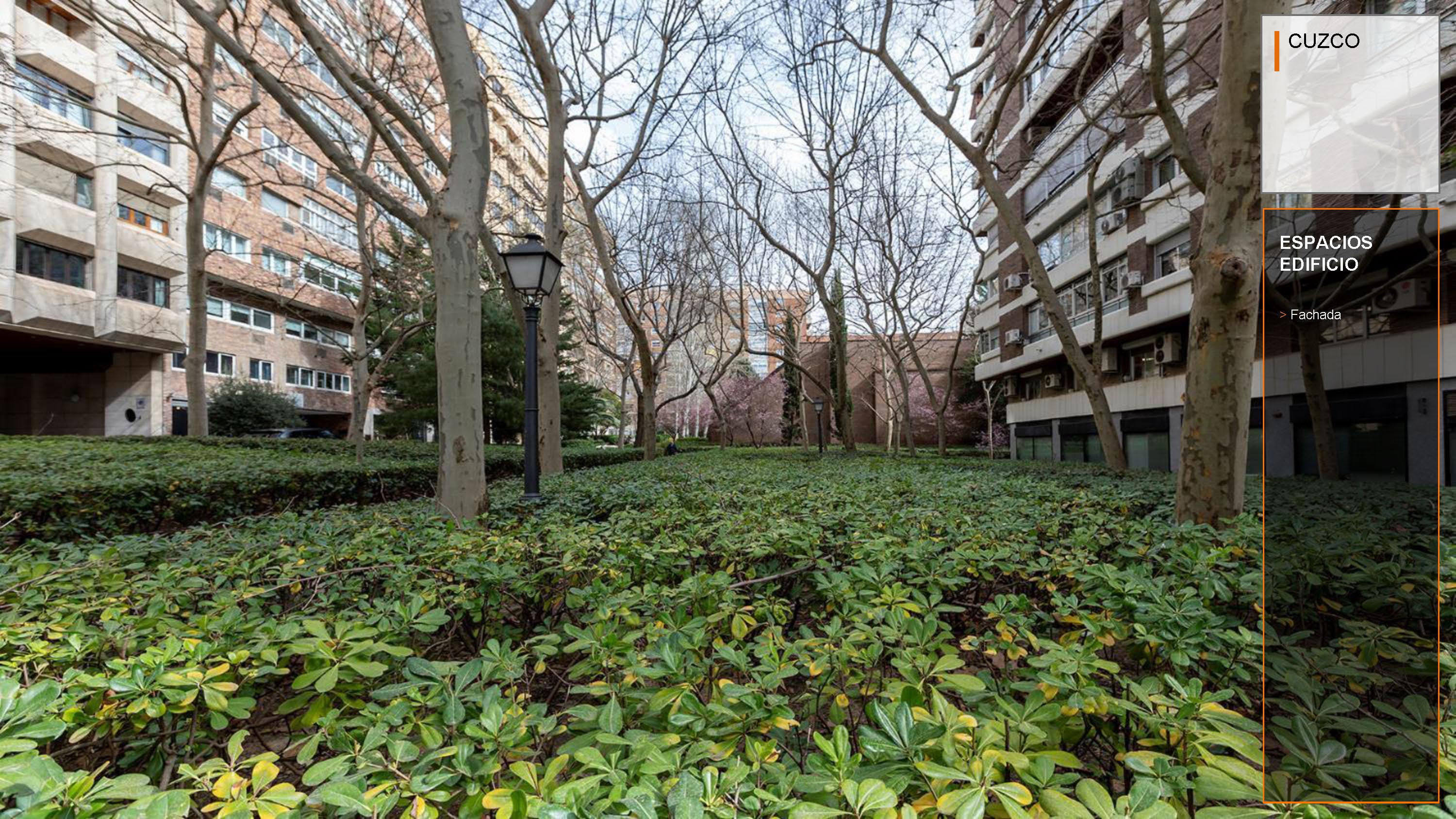 Piso en Venta - C. de Orense, Madrid - 121