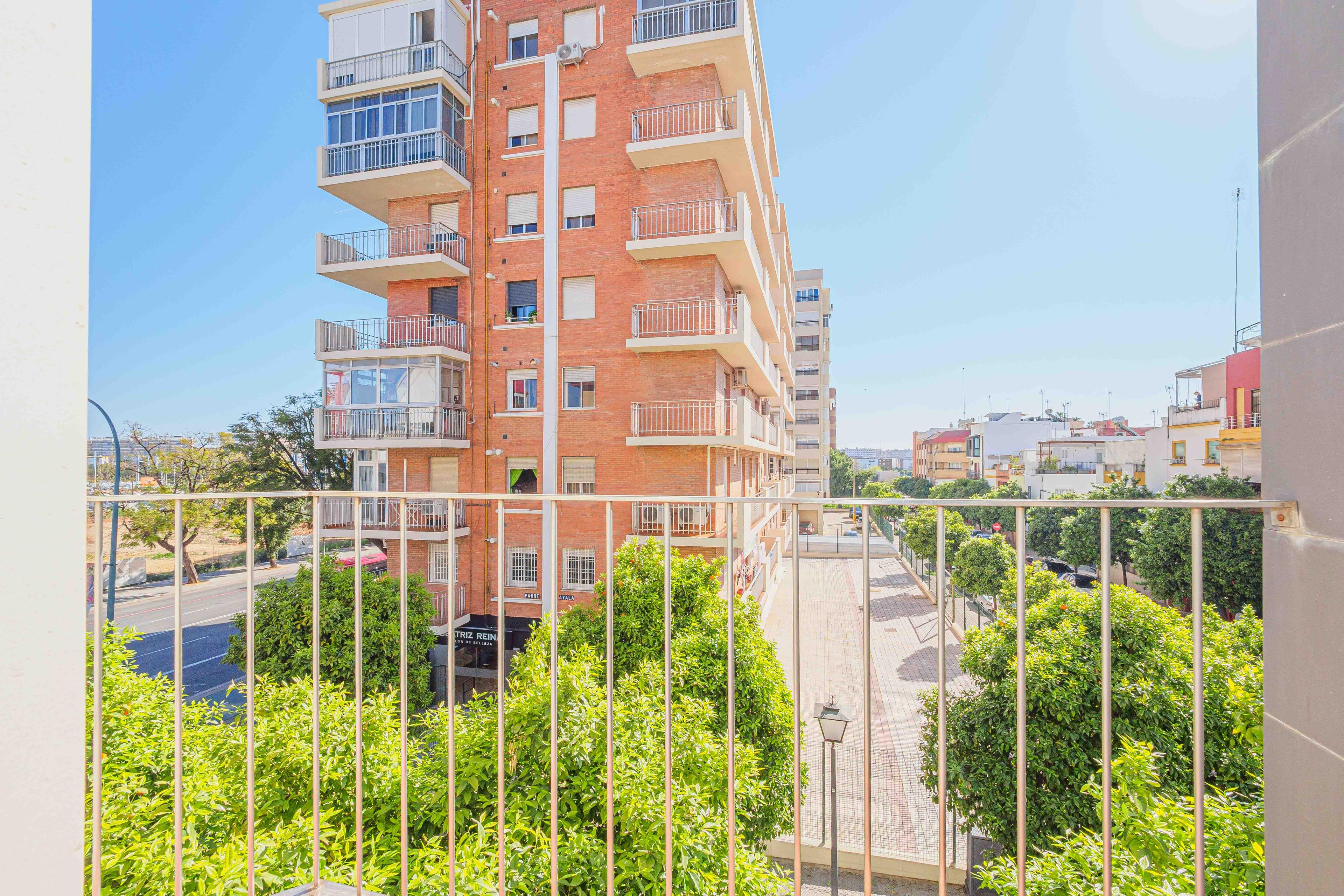 Piso en Alquiler en C. Padre Pedro Ayala - 31