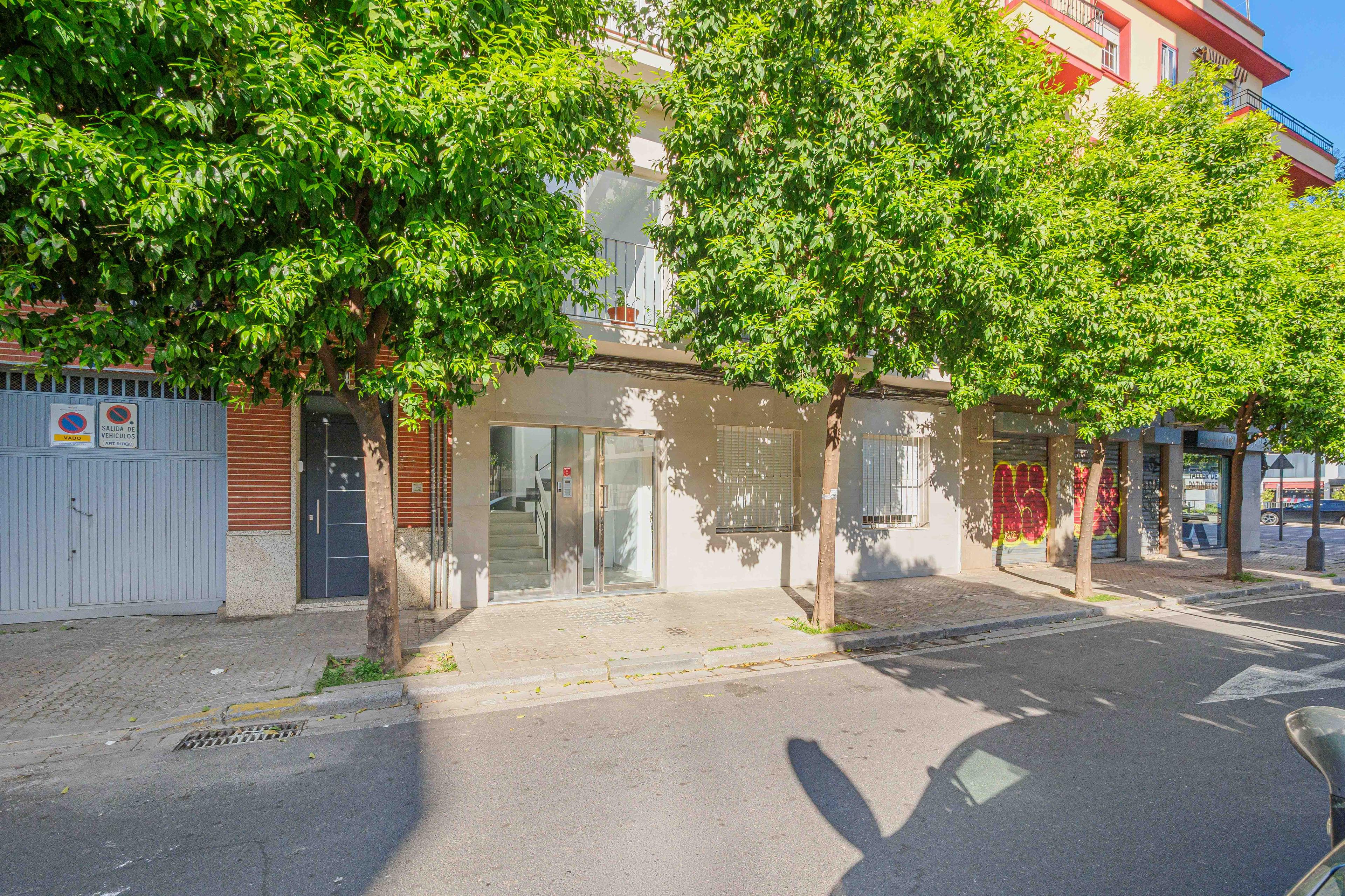 Piso en Alquiler en C. Padre Pedro Ayala - 34