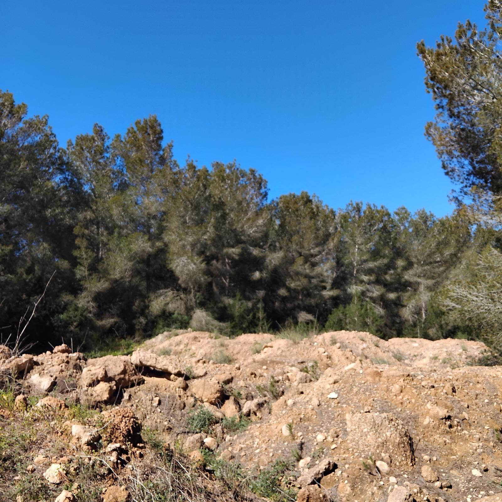 TERRENO RÚSTICO CON VIVIENDA SIN FINALIZAR - SANT JOSEP DE SA TALAIA (ILLES BALEARS) - 14