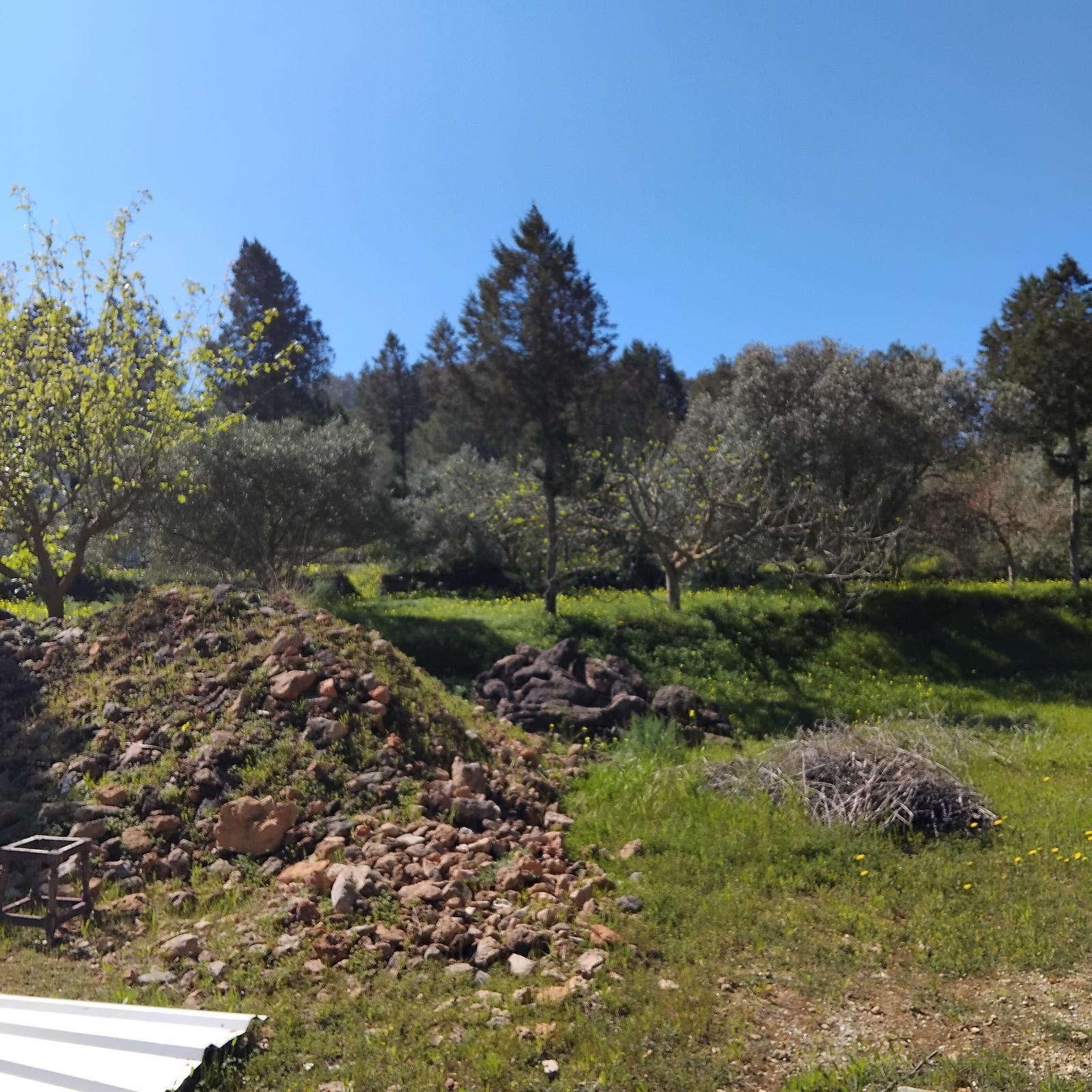 TERRENO RÚSTICO CON VIVIENDA SIN FINALIZAR - SANT JOSEP DE SA TALAIA (ILLES BALEARS) - 11