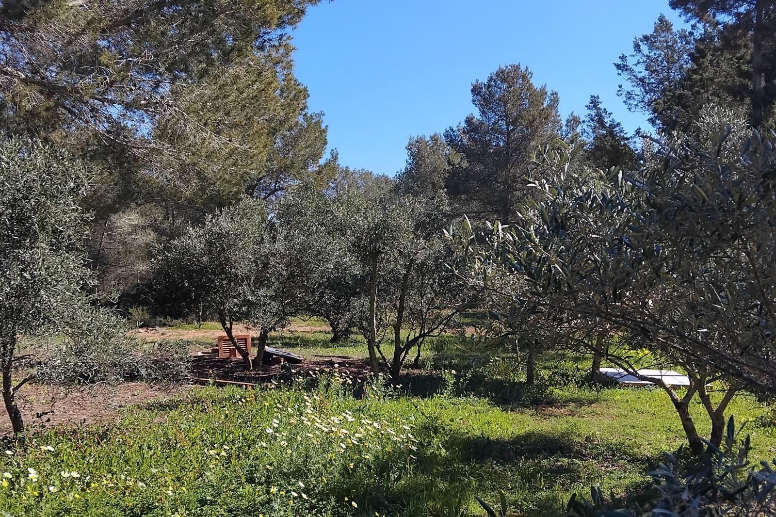 TERRENO RÚSTICO CON VIVIENDA SIN FINALIZAR - SANT JOSEP DE SA TALAIA (ILLES BALEARS) - 9