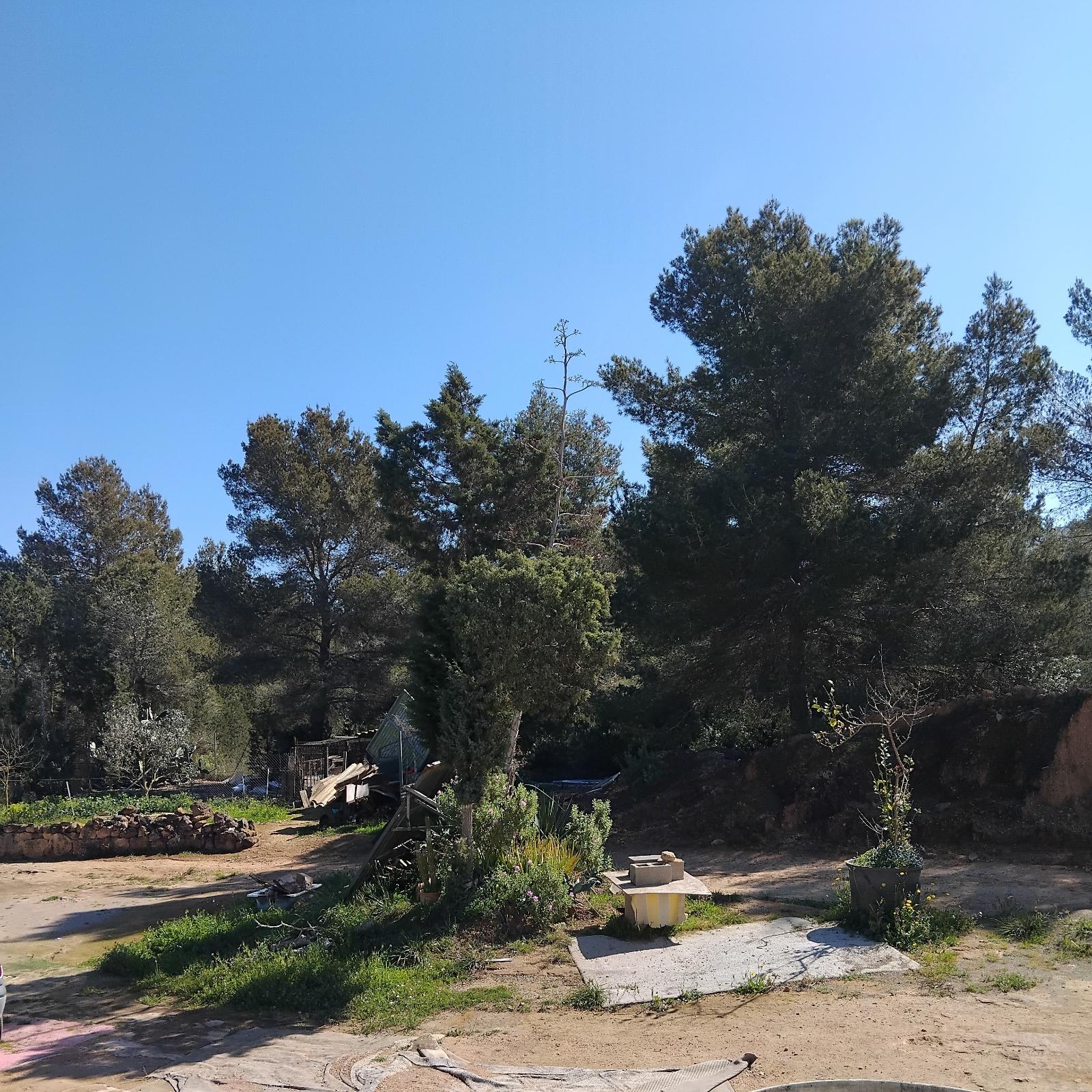 TERRENO RÚSTICO CON VIVIENDA SIN FINALIZAR - SANT JOSEP DE SA TALAIA (ILLES BALEARS) - 15