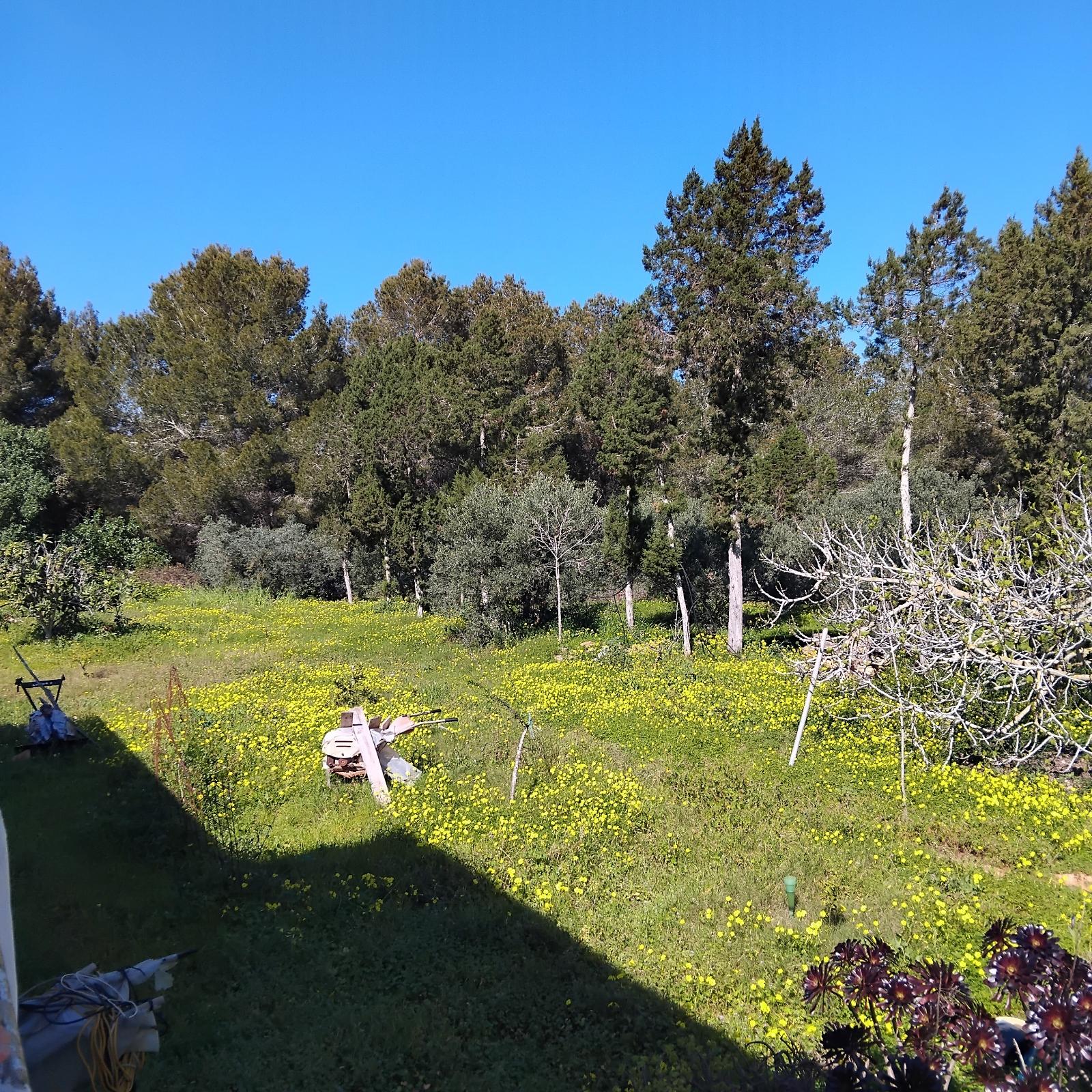 TERRENO RÚSTICO CON VIVIENDA SIN FINALIZAR - SANT JOSEP DE SA TALAIA (ILLES BALEARS) - 12