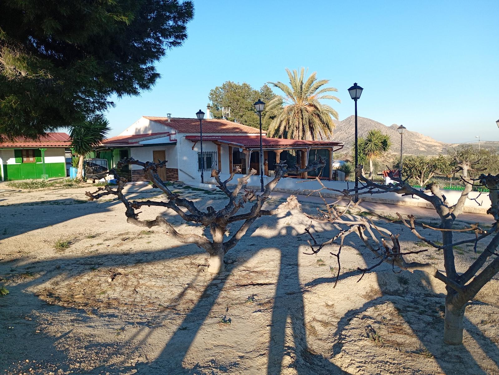 Independiente en Venta - Alacant / Alicante - 16