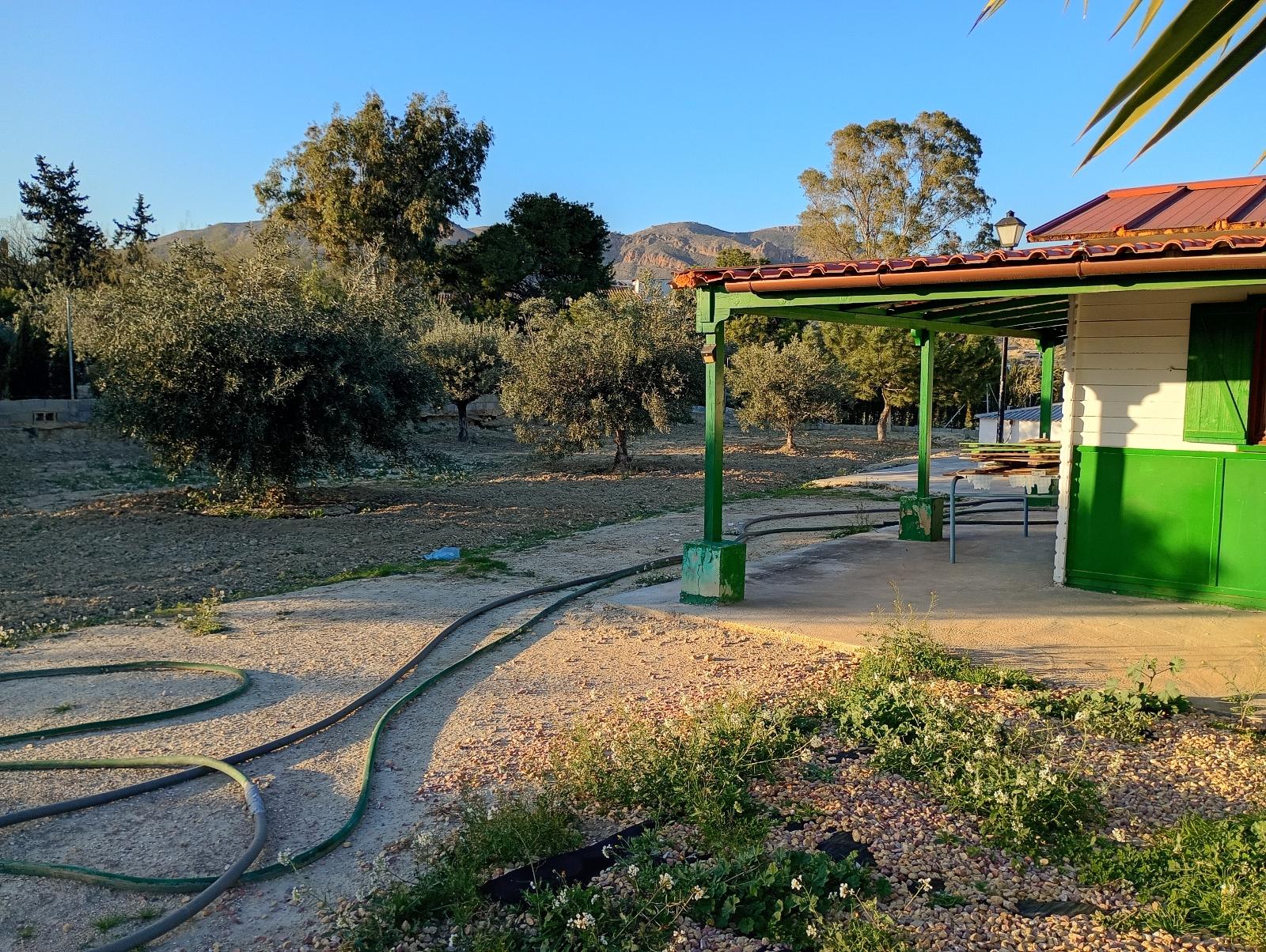 Independiente en Venta - Alacant / Alicante - 15