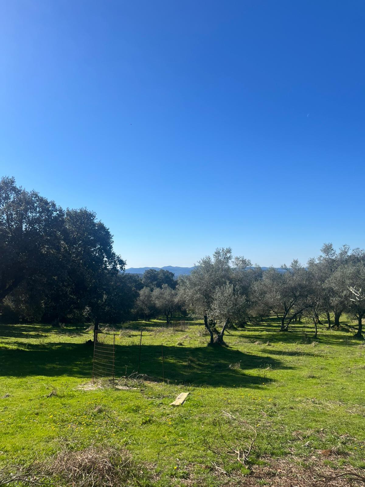 Casa Rustica en Venta en Andalucía - 13