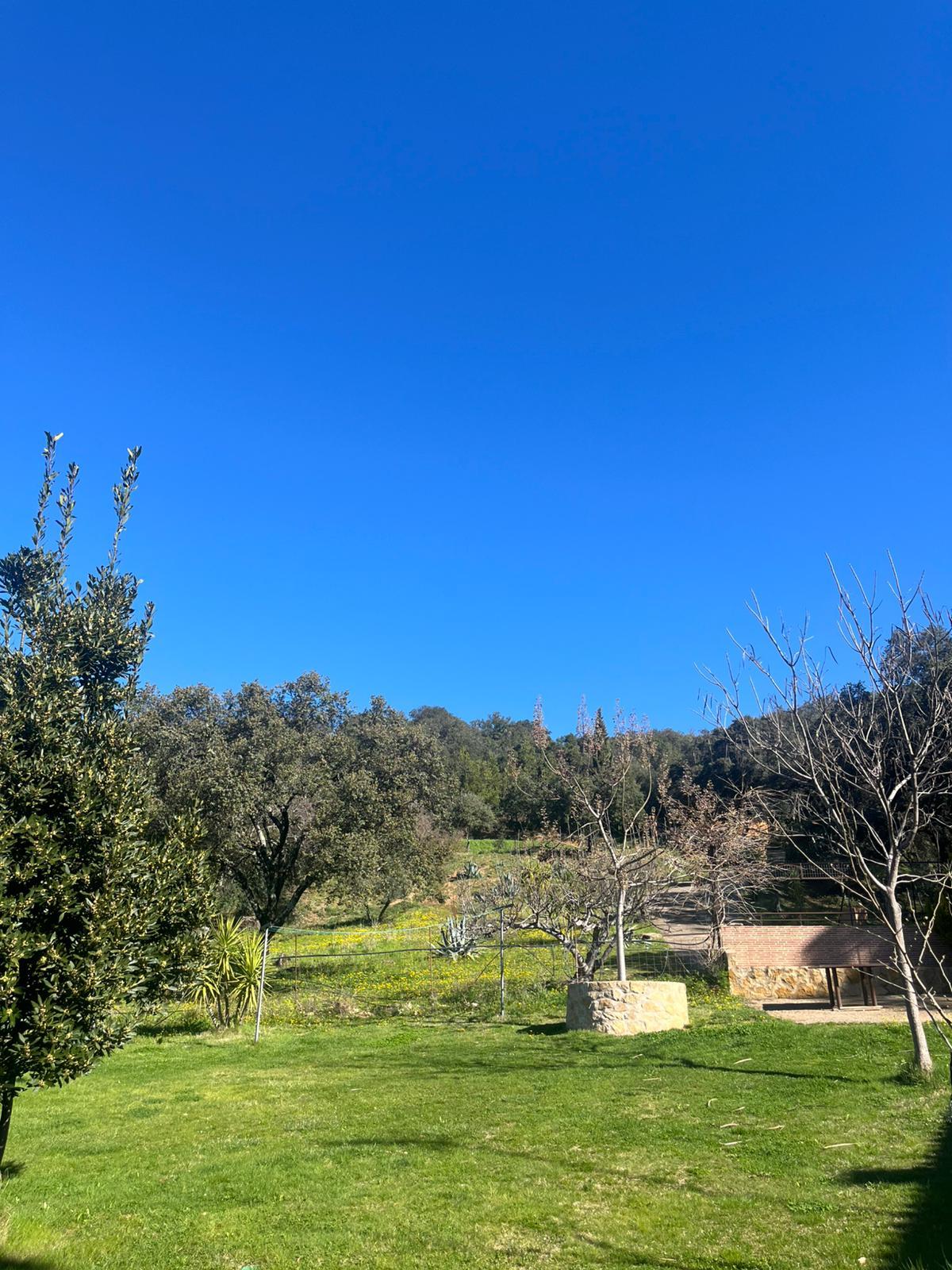 Casa Rustica en Venta en Andalucía - 14