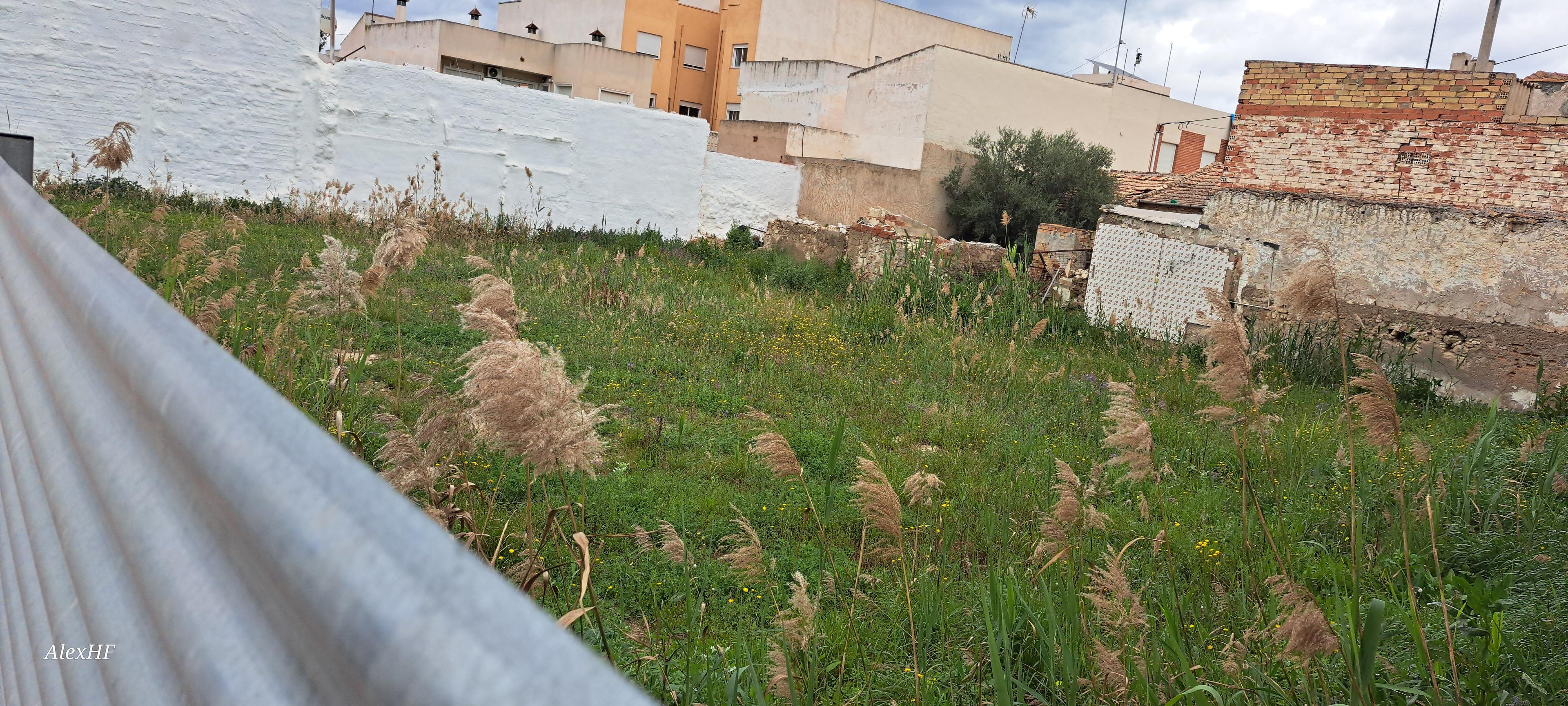 Residential_Plot en Venta en C. Virgen de Belen - 4