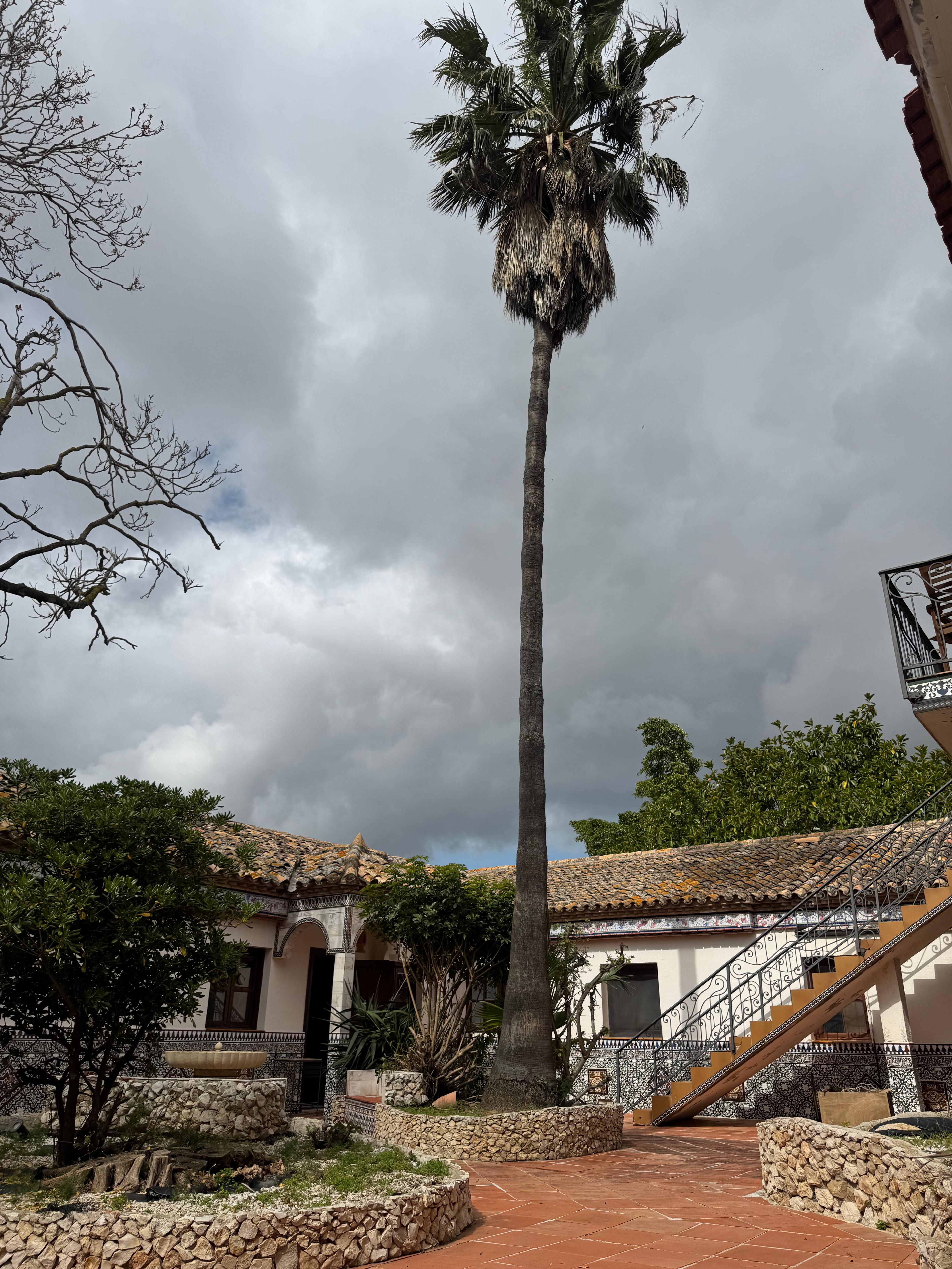 Casa Rural en Venta en Passeig la Xara - 13