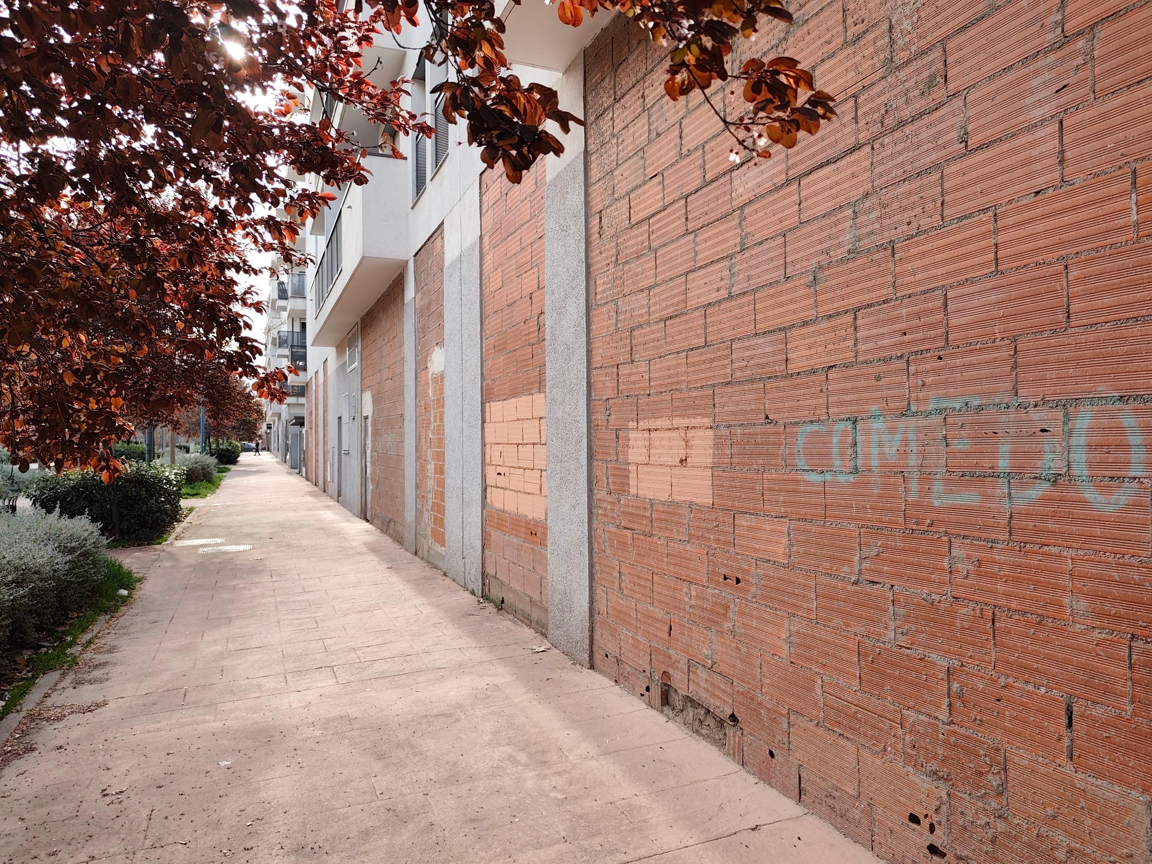 Local en Venta en C. Francisco Salzillo - 2