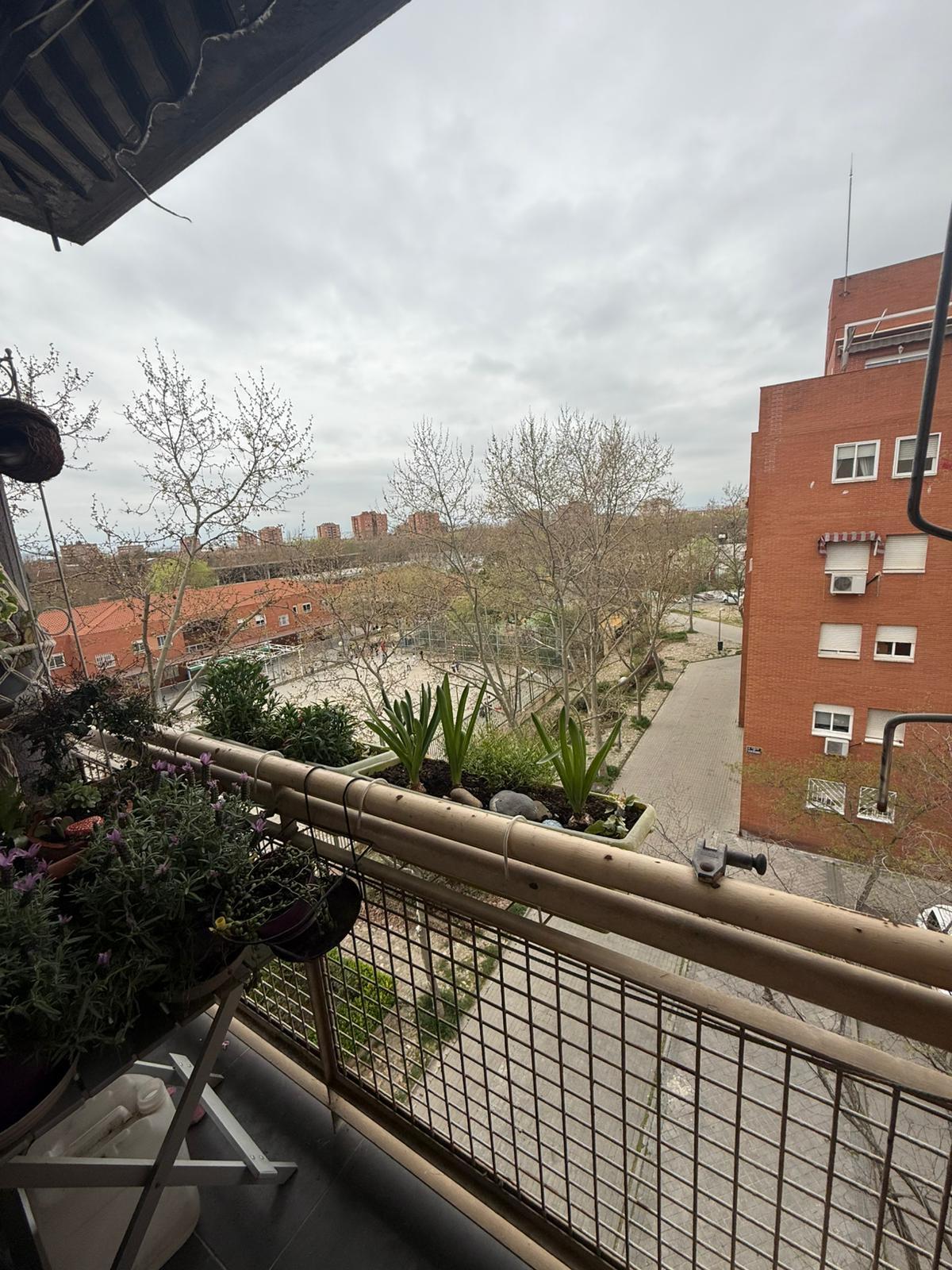 Piso en Venta en C. de Viridiana - 4