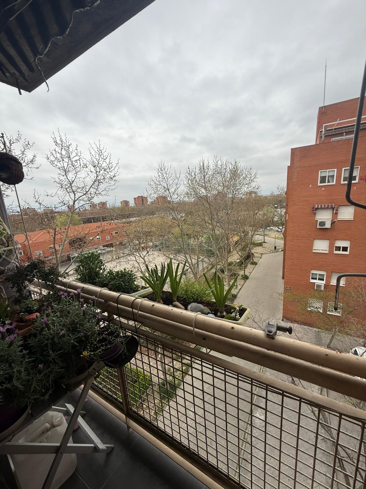 Piso en Venta en C. de Viridiana - 18