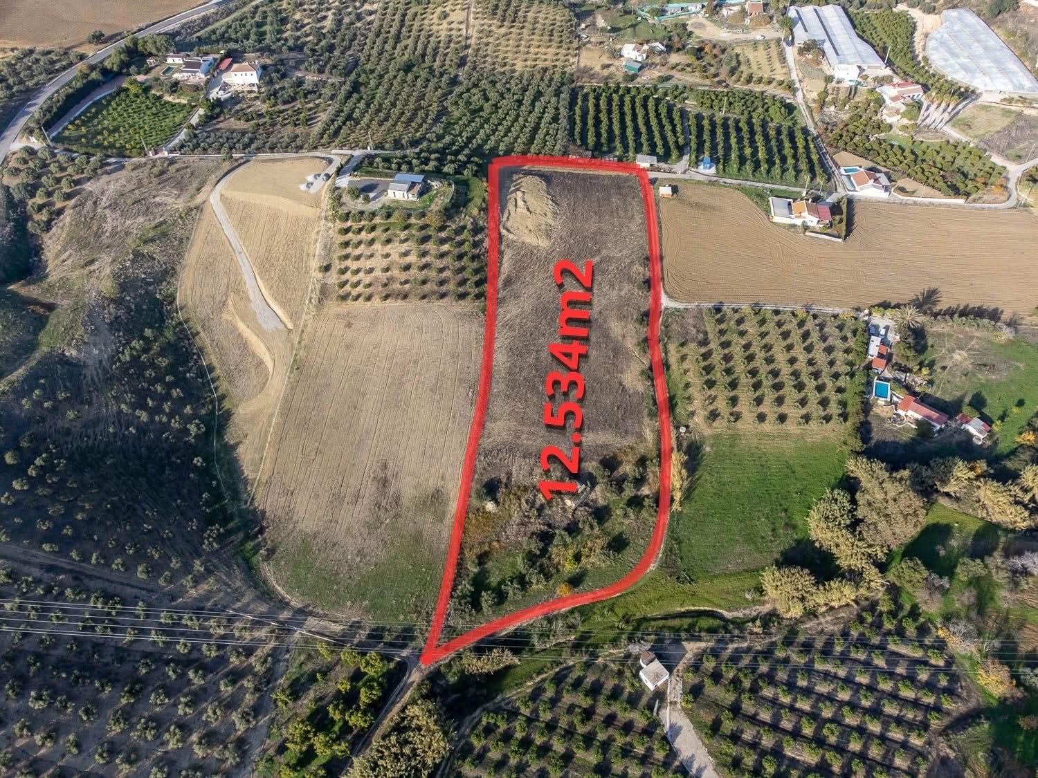 Terreno en Venta en Arroyo Hondo La Alqueria 19 - 1