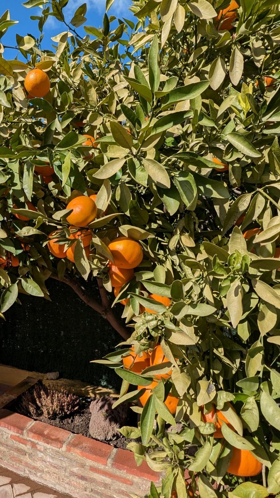 Casa en Venta en San Francisco (Este) - 22