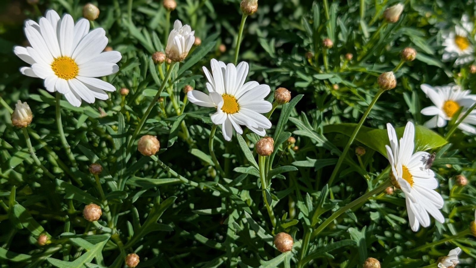 Casa en Venta en San Francisco (Este) - 23
