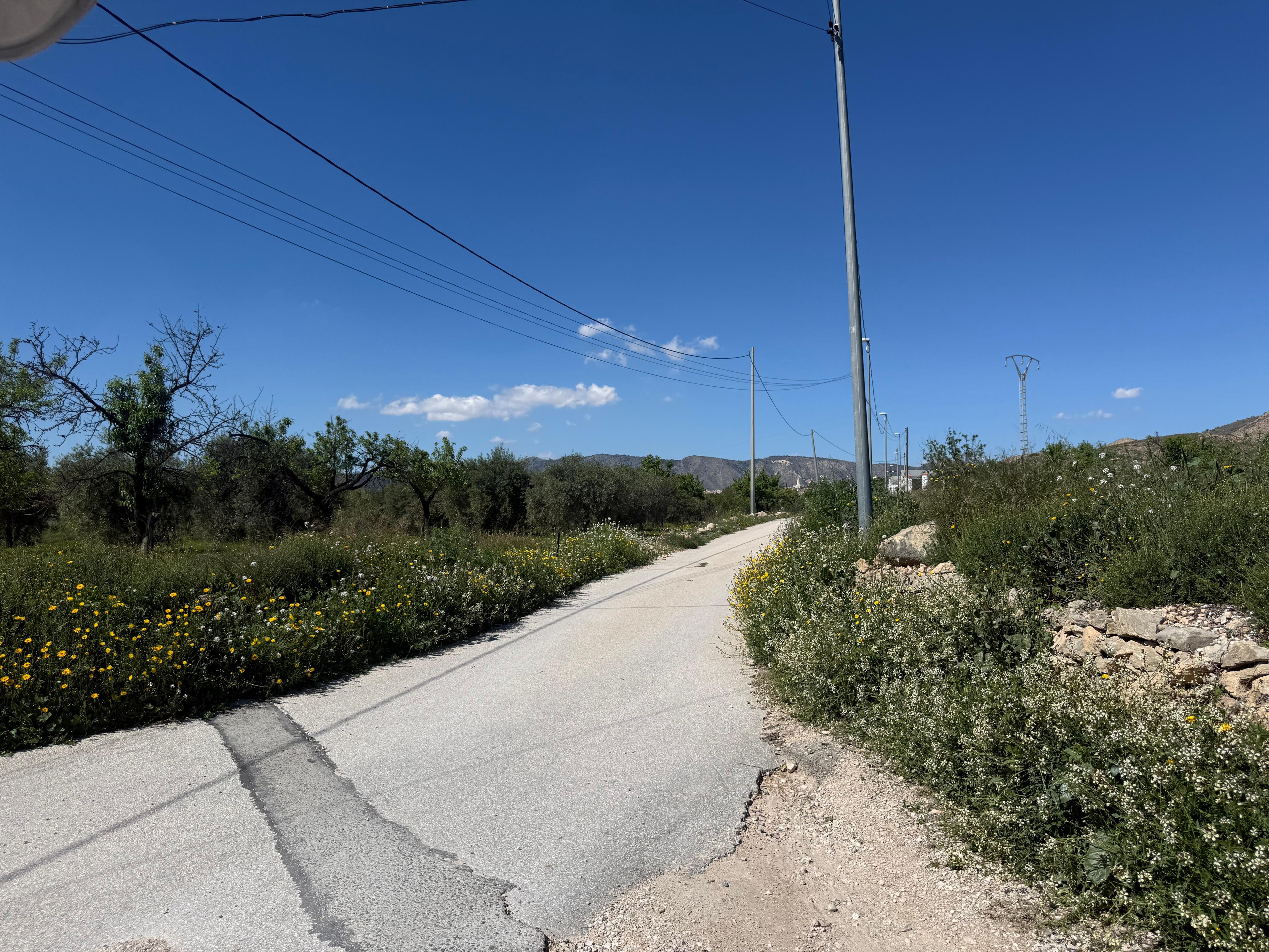 Casa Rural en Venta - Diseminado Barinas - 26