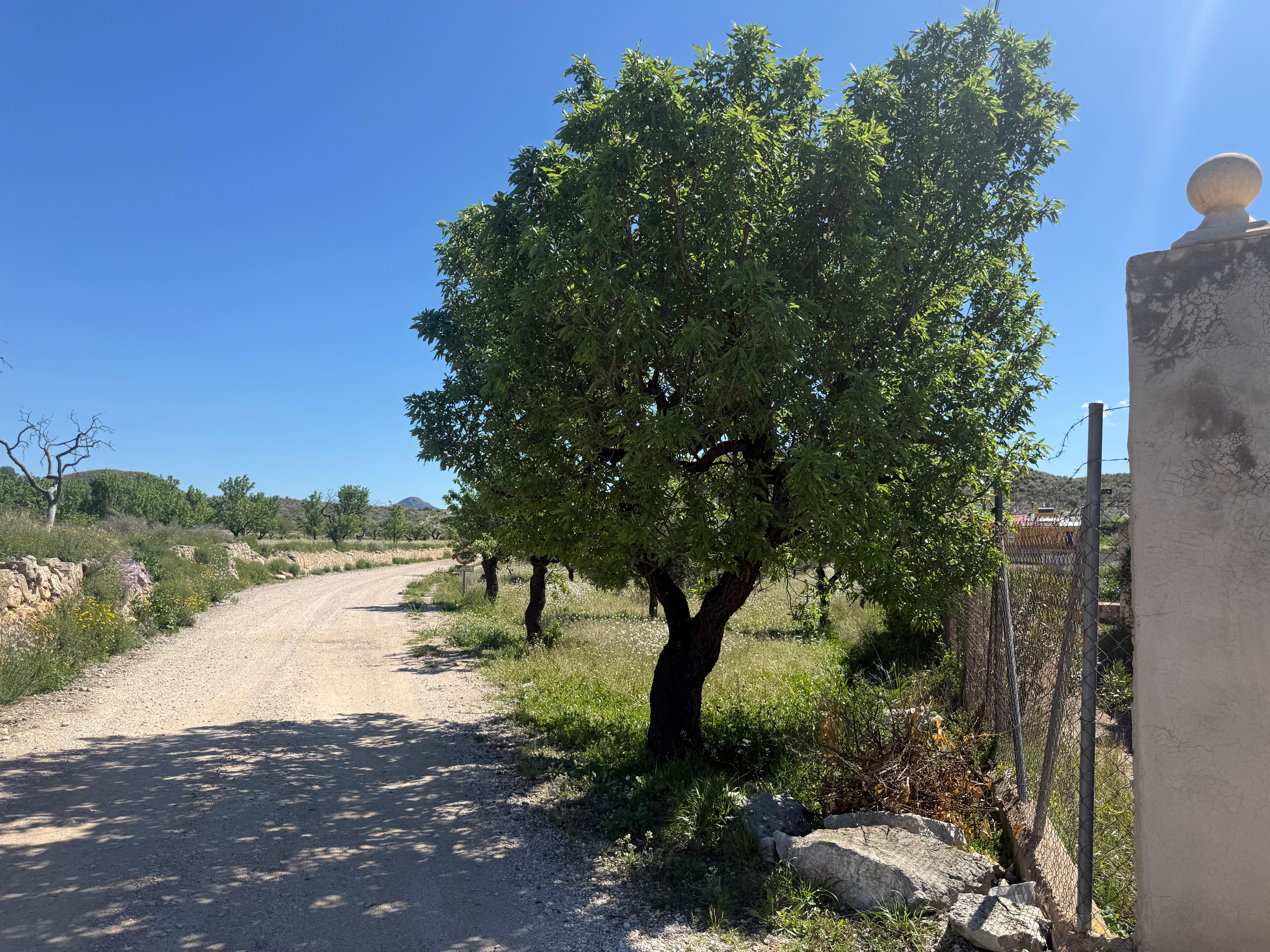 Casa Rural en Venta - Diseminado Barinas - 27