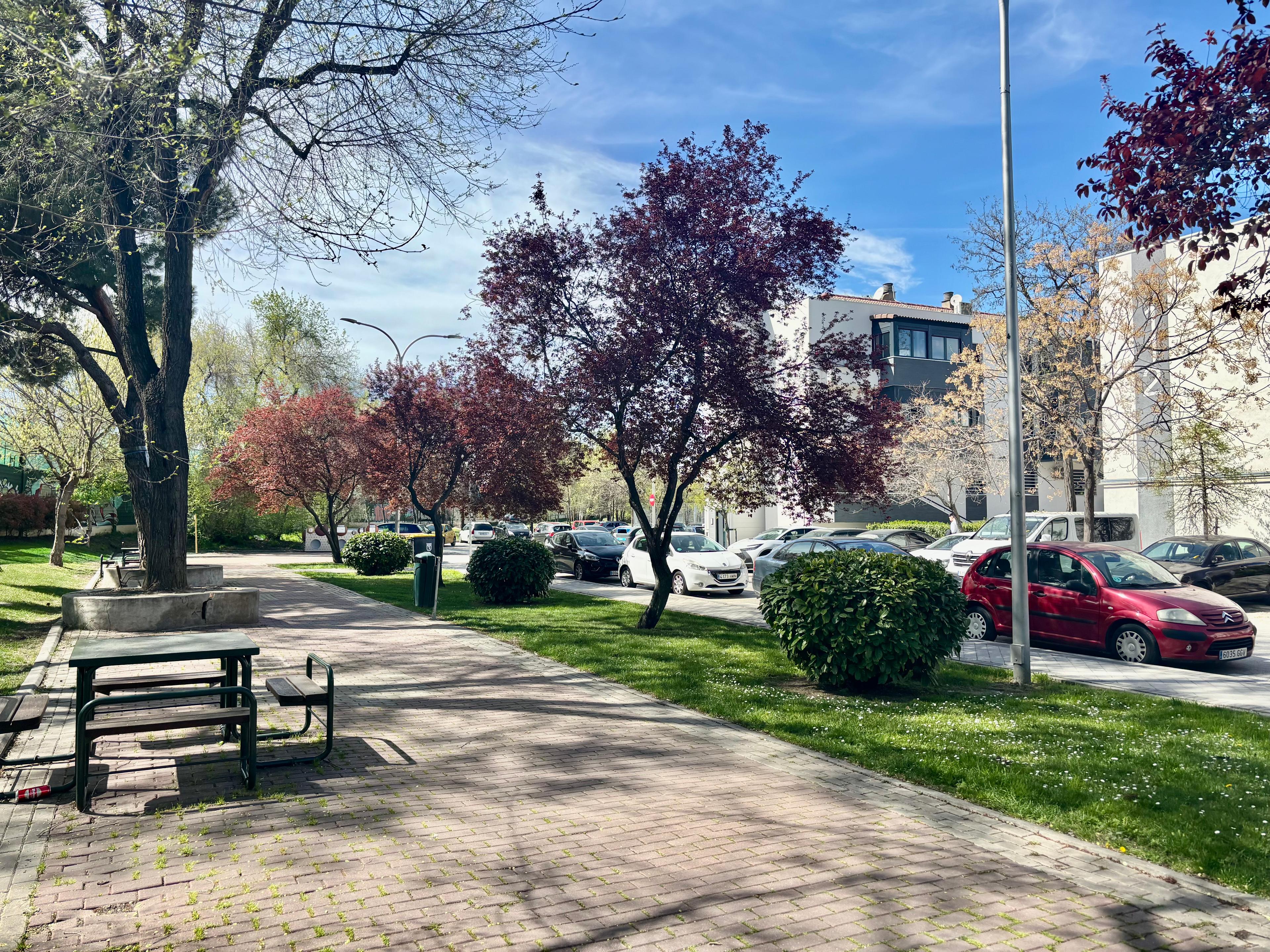 Piso en Venta en C. Frías - 11