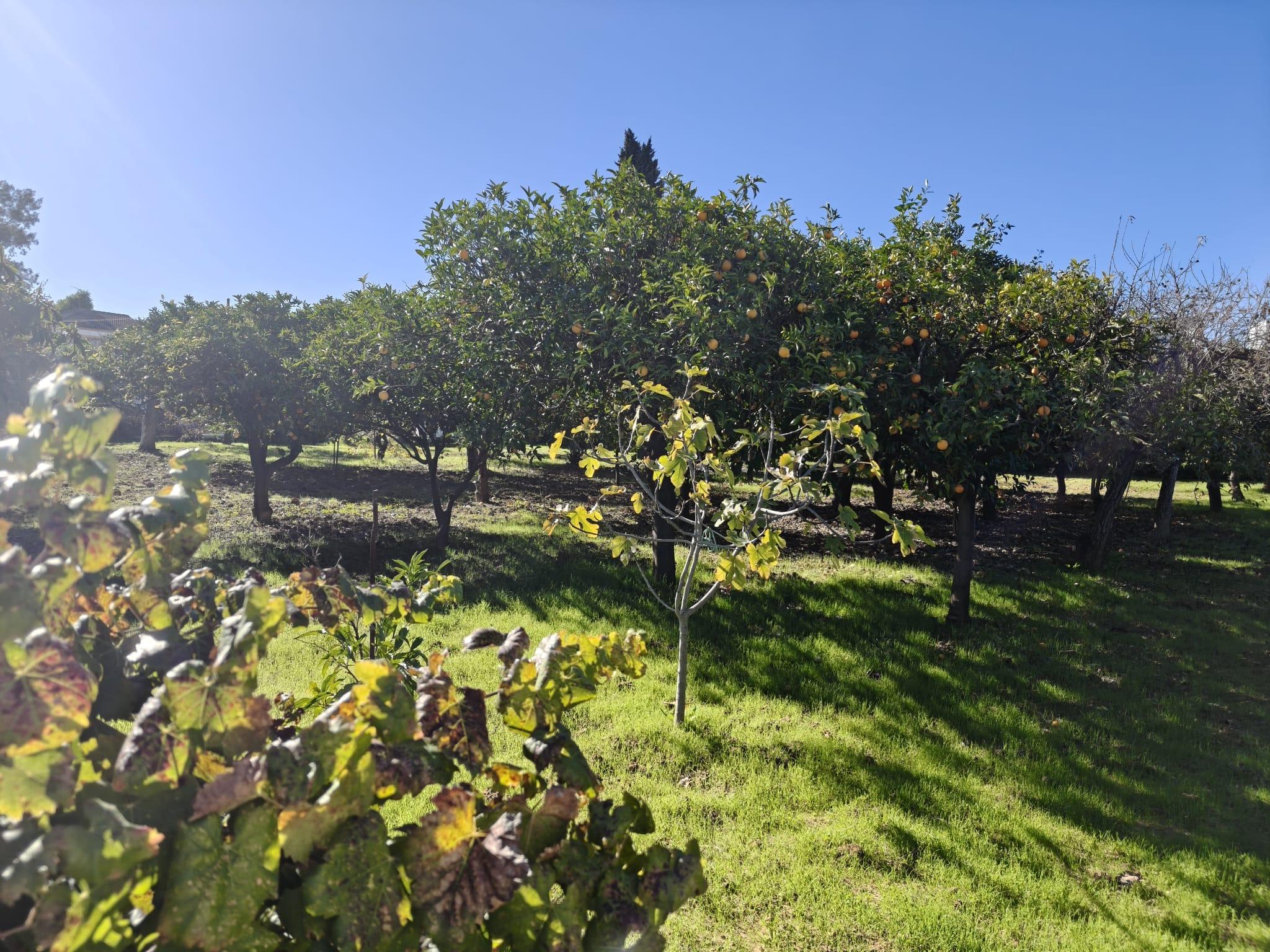 Casa en Venta en Urbanización los Barreros - 2