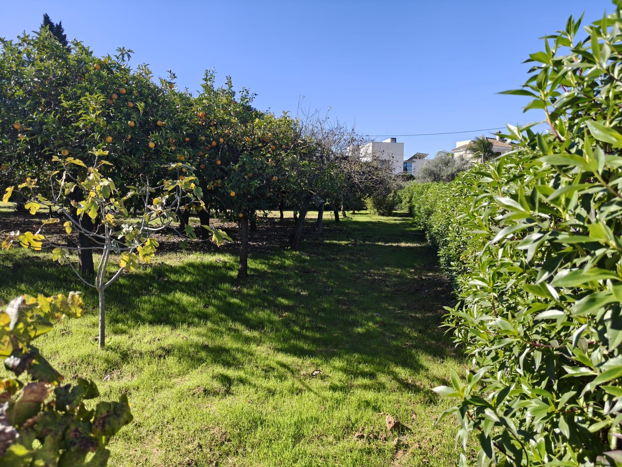 Casa en Venta en Urbanización los Barreros - 3