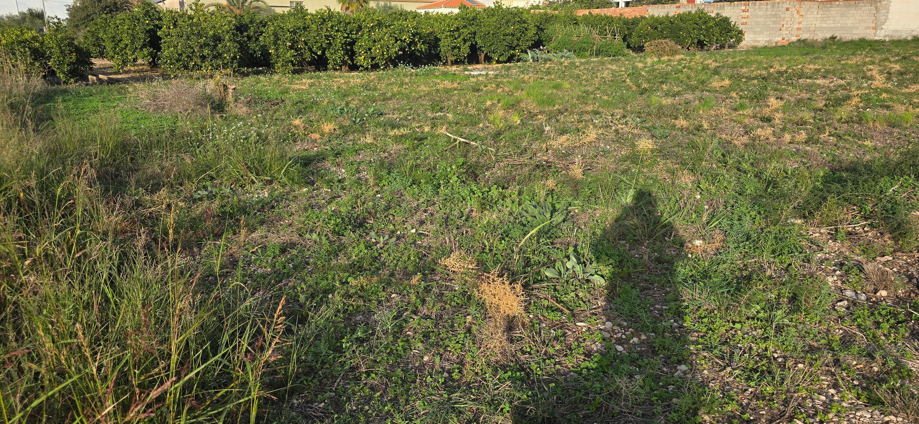 Solar en Venta en Avinguda Constitució - 5