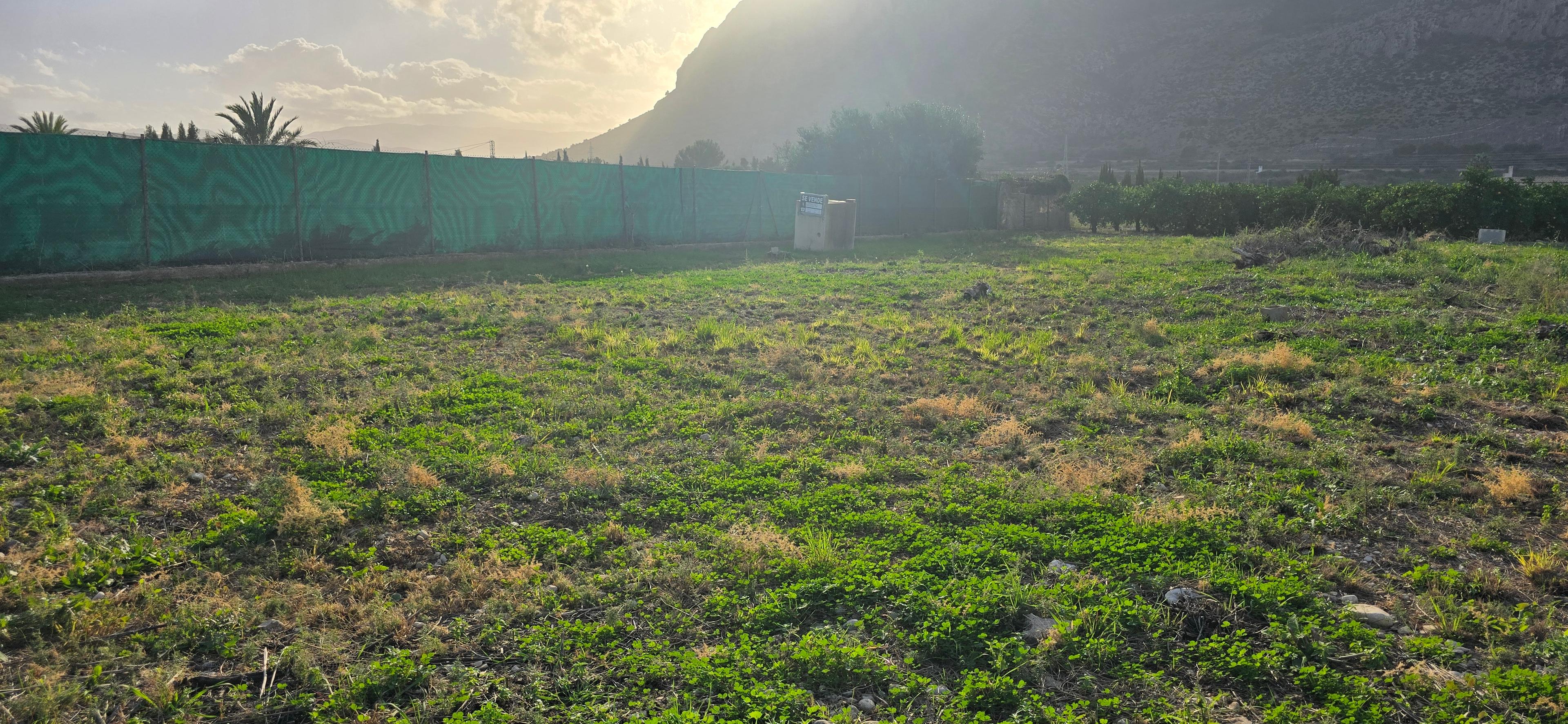 Solar en Venta en Avinguda Constitució - 25