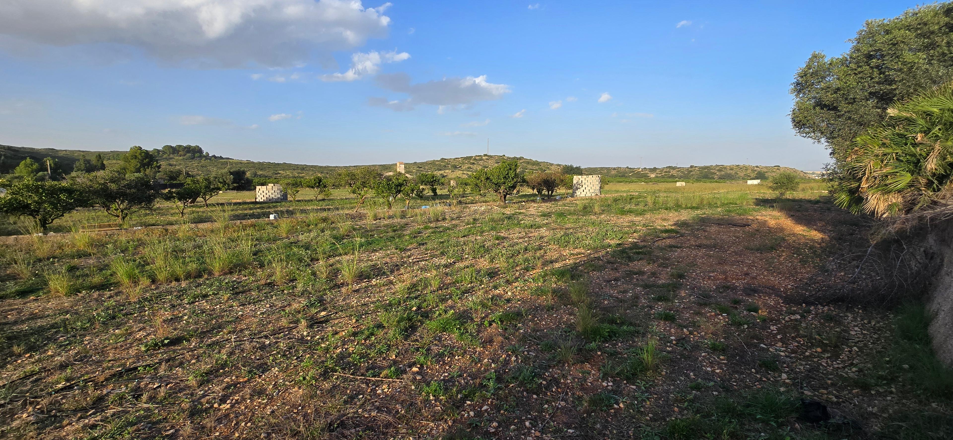 No Edificio en Venta en Carrer Barranc de Portelles - 10