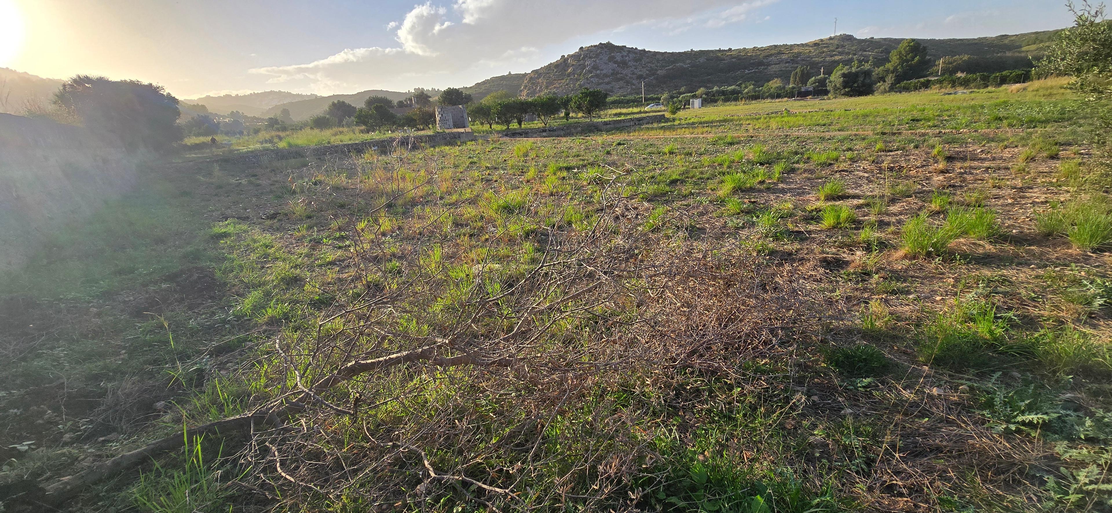 No Edificio en Venta en Carrer Barranc de Portelles - 6