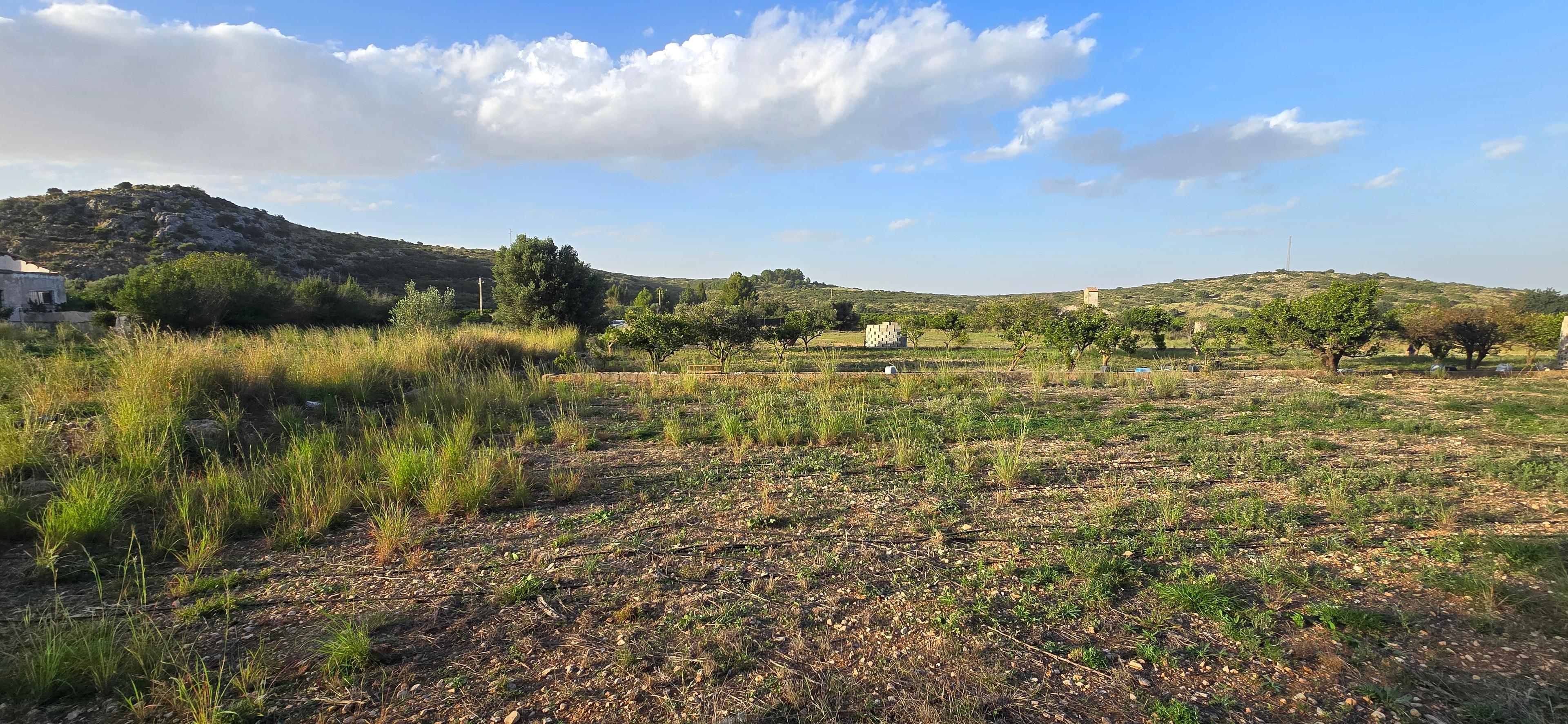No Edificio en Venta en Carrer Barranc de Portelles - 12