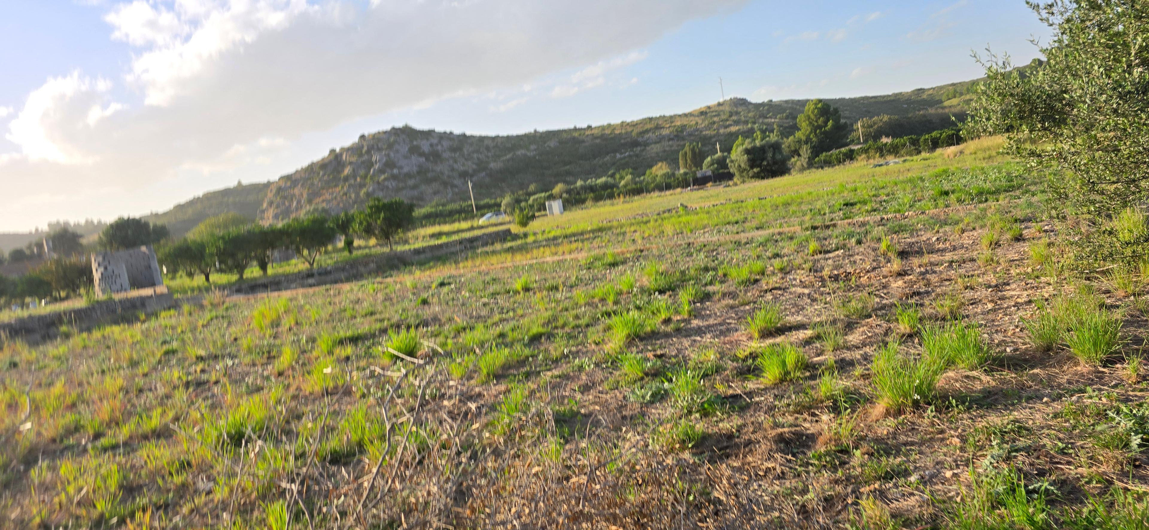 No Edificio en Venta en Carrer Barranc de Portelles - 9