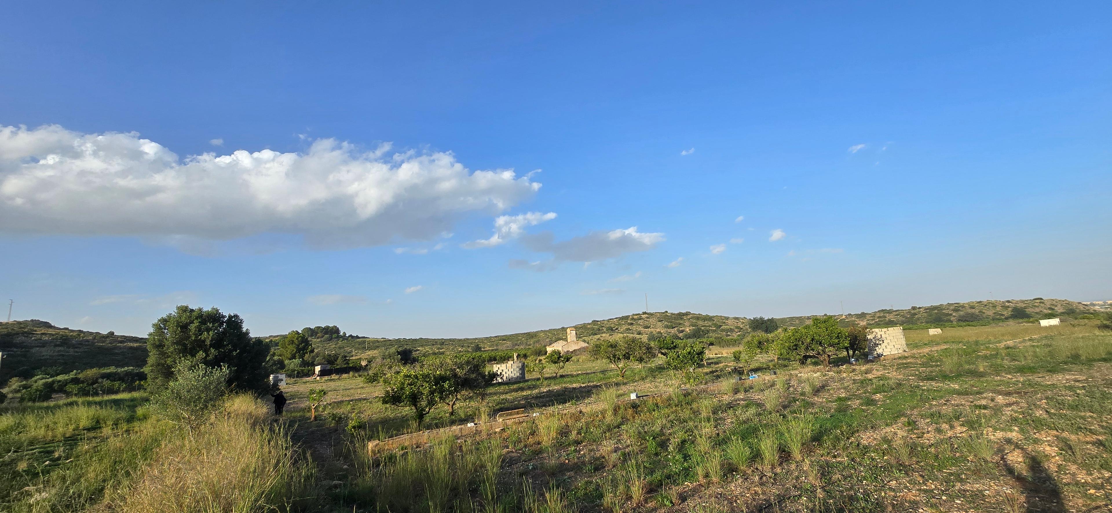 No Edificio en Venta en Carrer Barranc de Portelles - 15