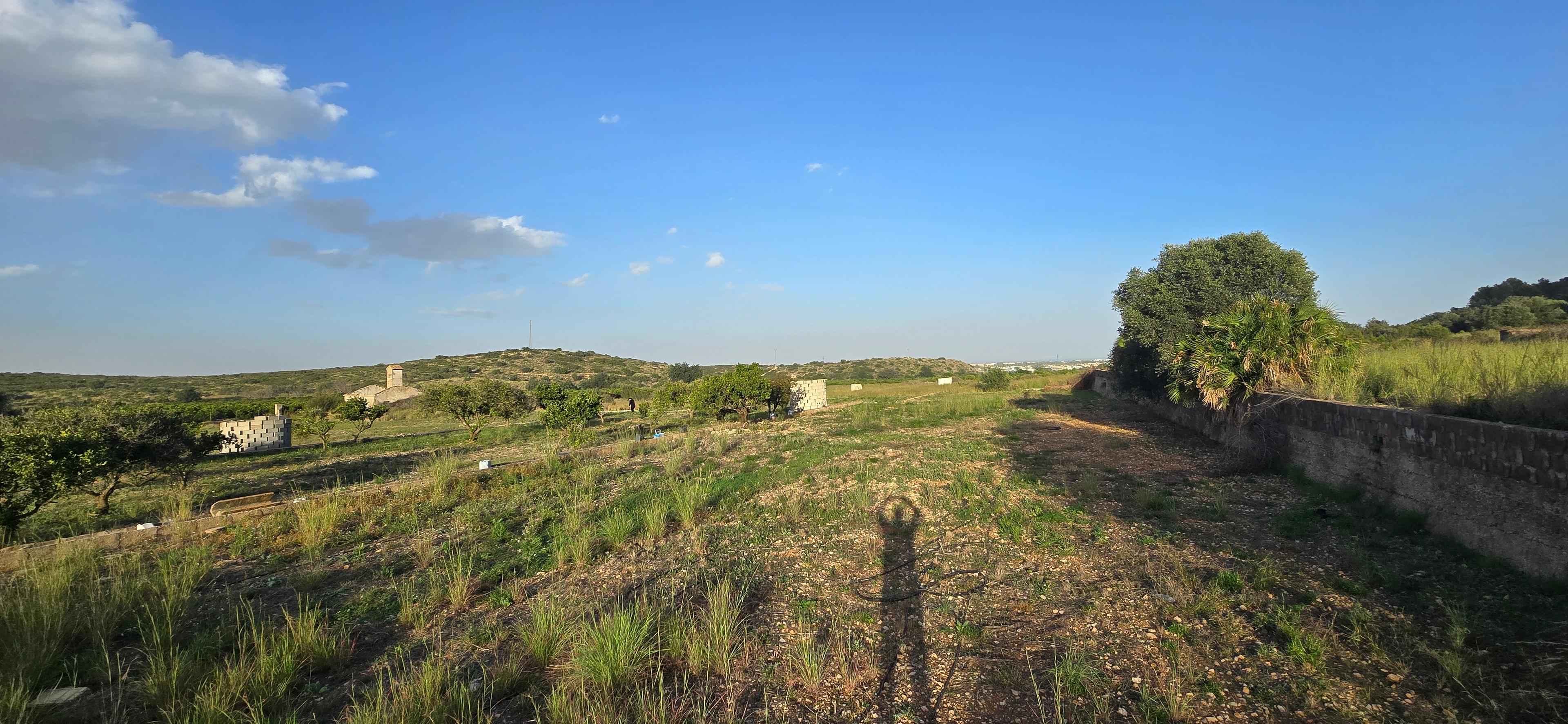 No Edificio en Venta en Carrer Barranc de Portelles - 13