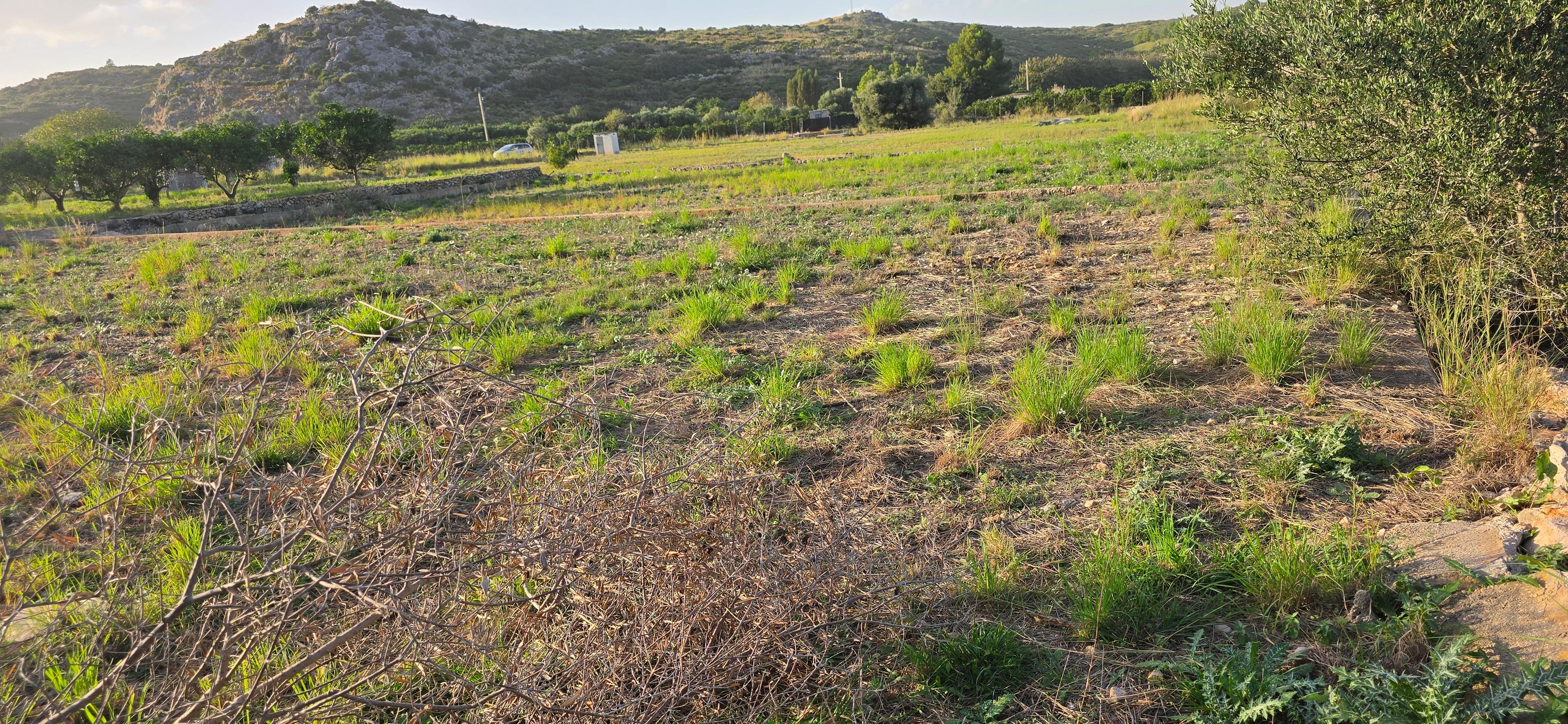 No Edificio en Venta en Carrer Barranc de Portelles - 8
